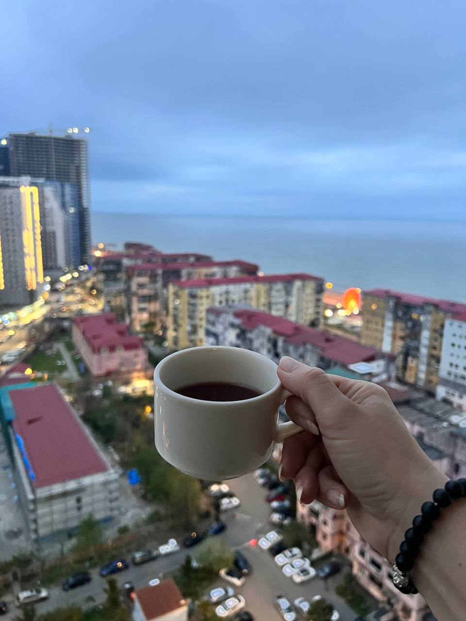 Грузия В гости к виноделам (8/17)