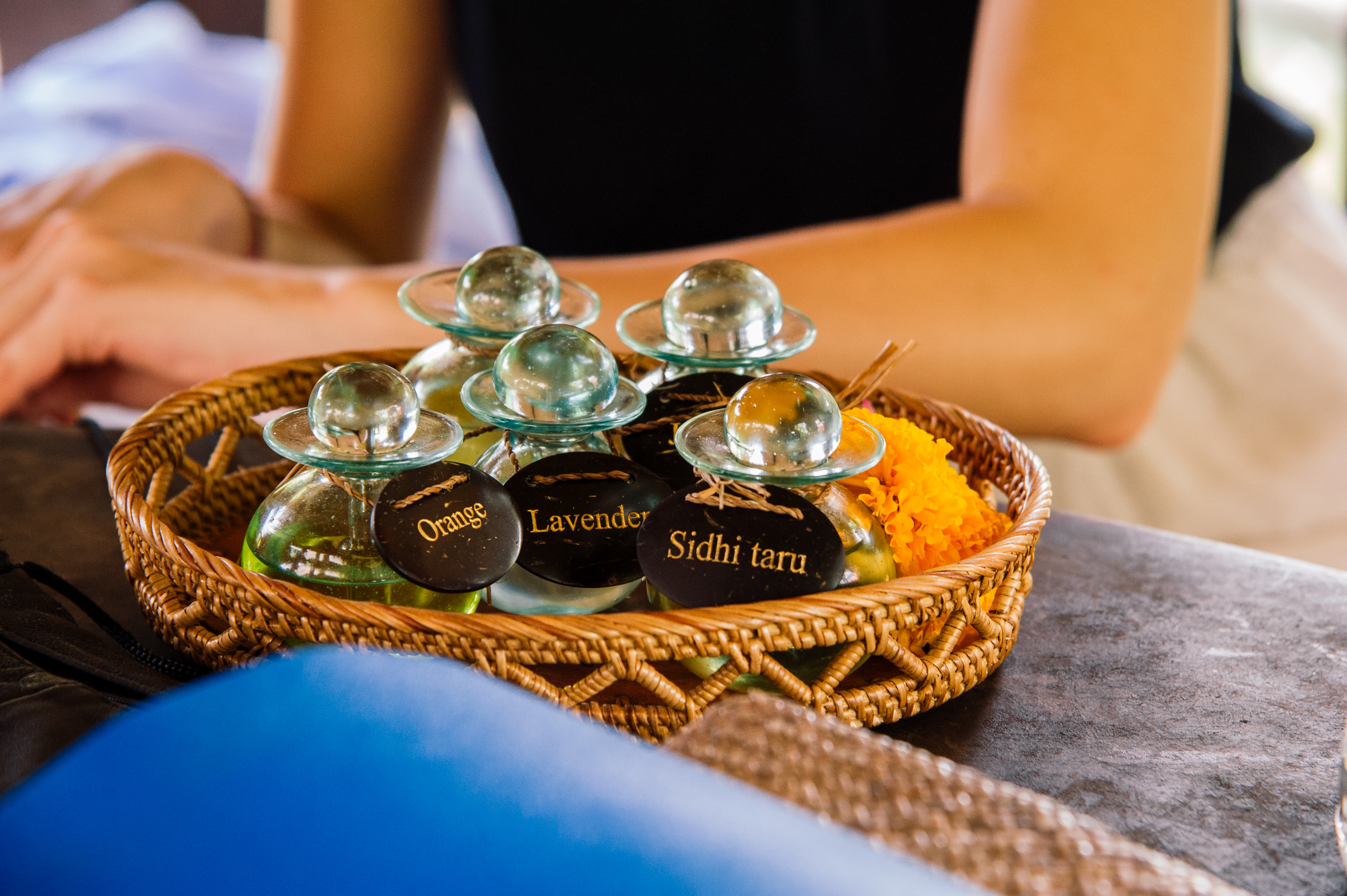 Остров мечты за 12 дней . (38/61)