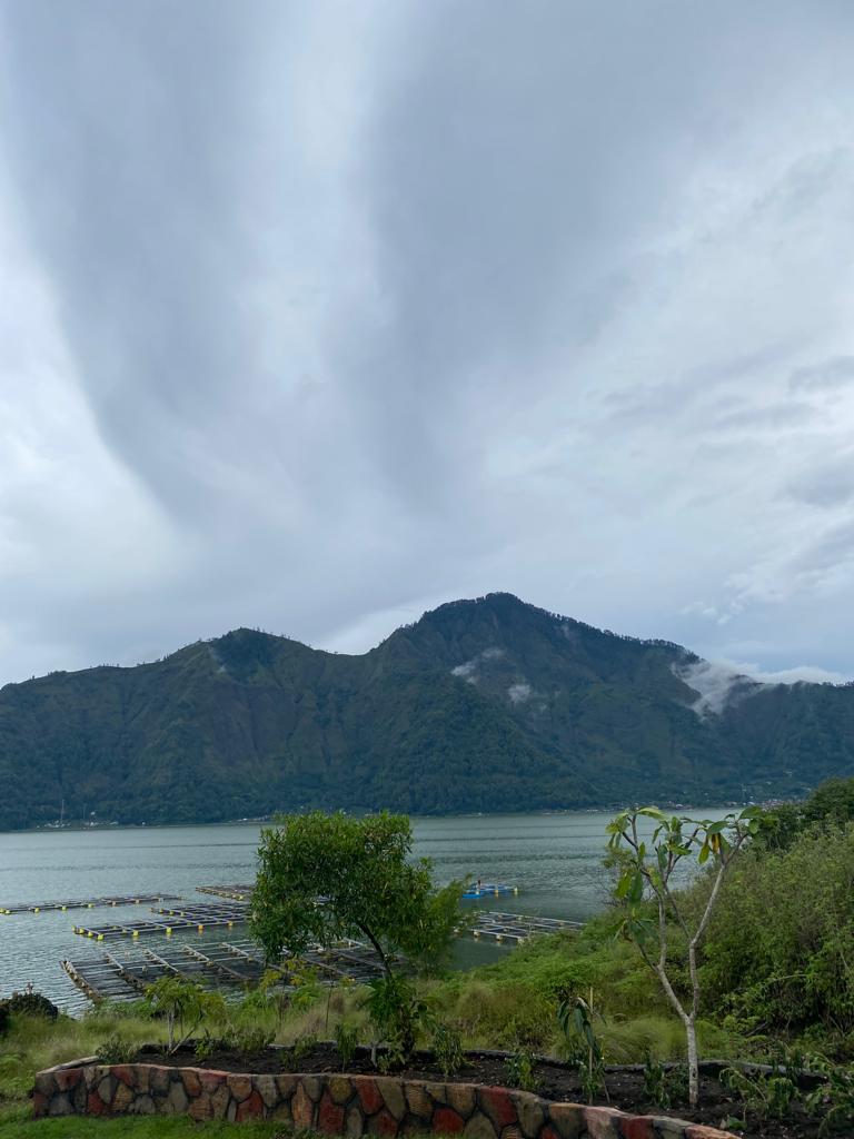 Остров мечты за 12 дней . (32/61)