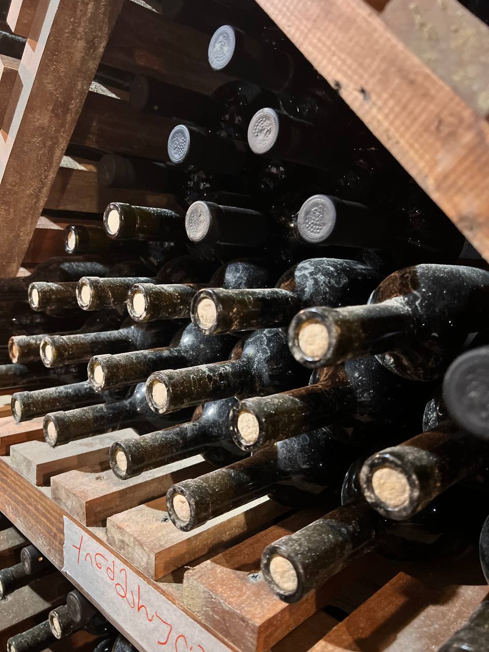 Грузия В гости к виноделам (17/17)