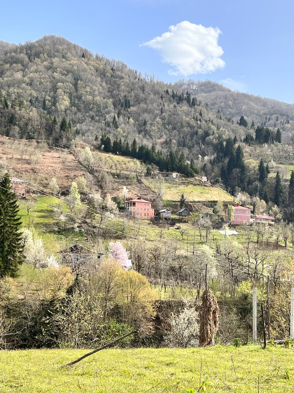 Грузия В гости к виноделам (16/17)