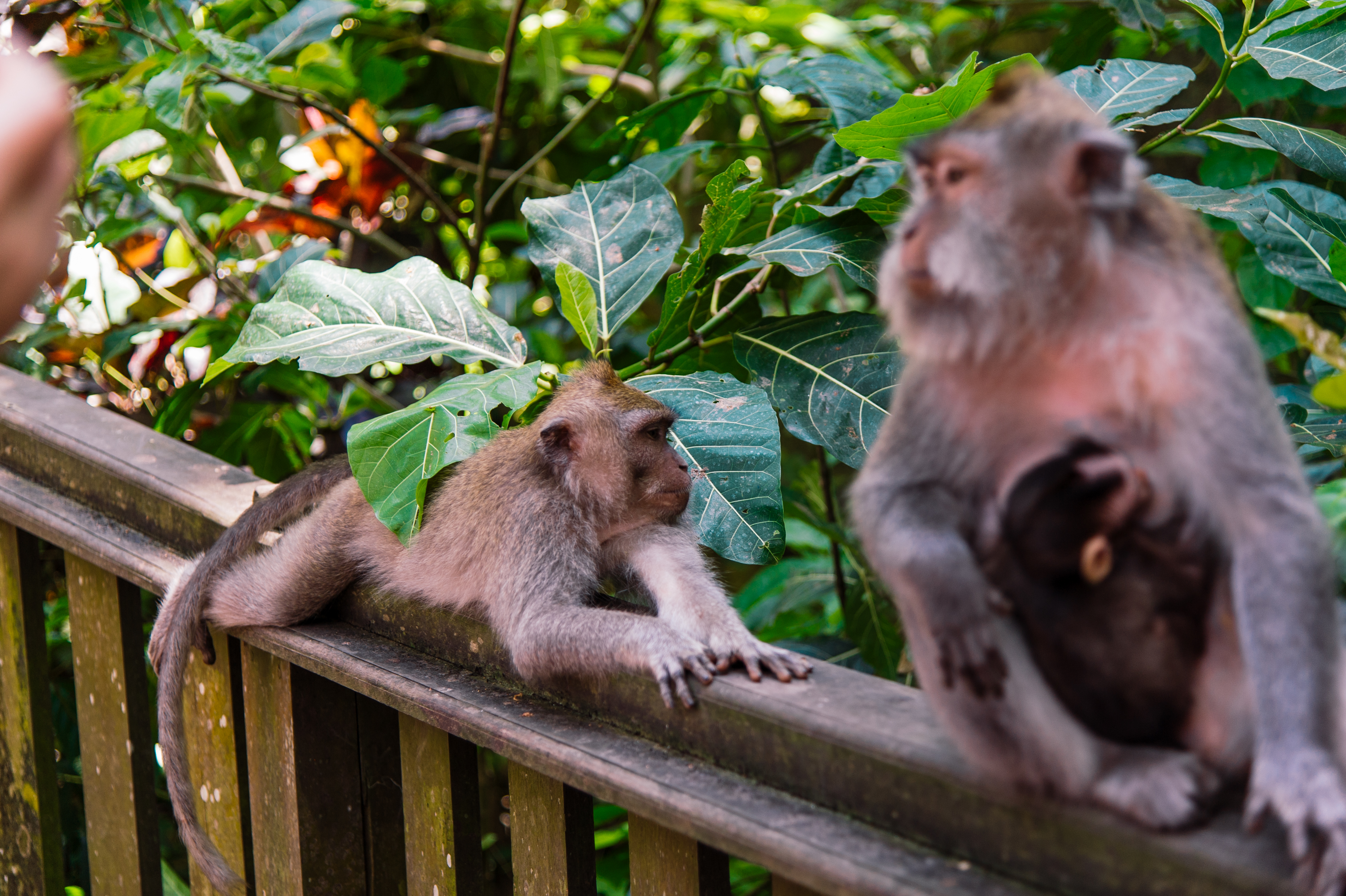 Остров мечты за 12 дней . (43/61)