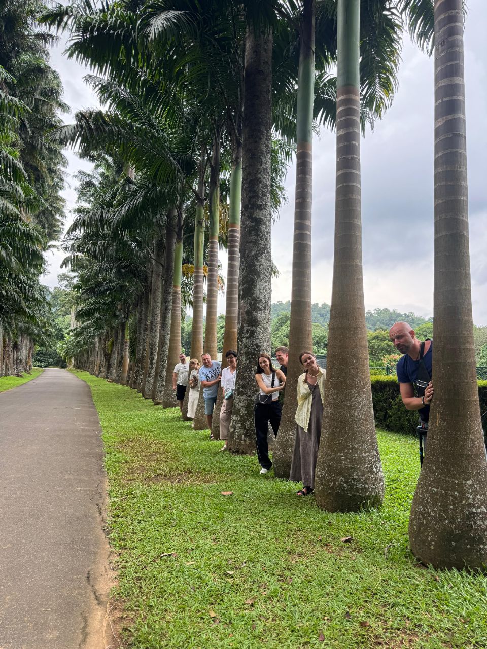 Насыщенная Кругосветка по Шри-Ланке за 8 дней (13/37)