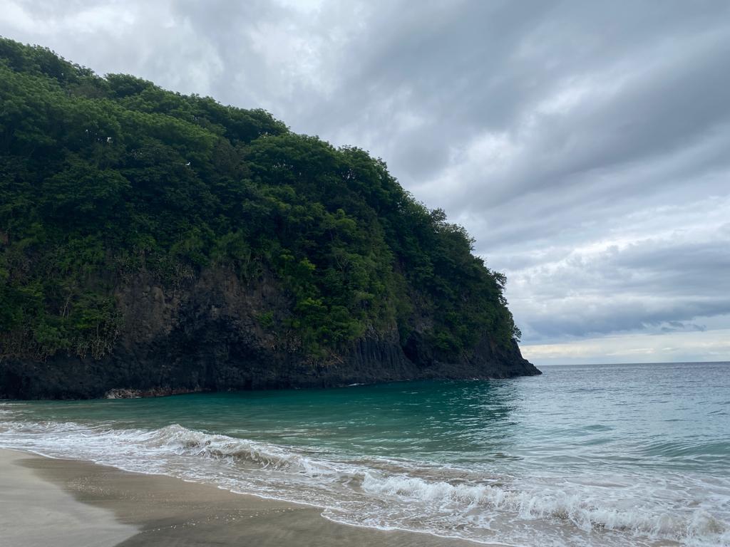 Остров мечты за 12 дней . (31/61)