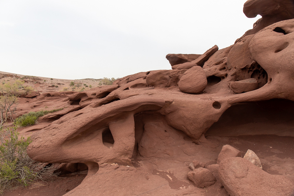 Золотое кольцо Семиречья (11/53)