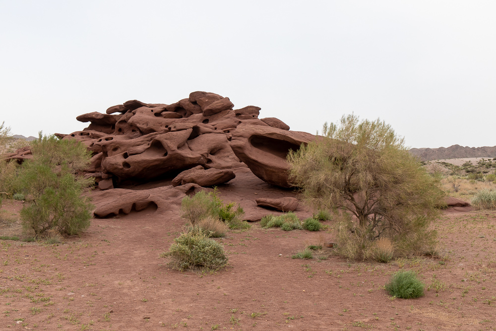 Золотое кольцо Семиречья (10/53)