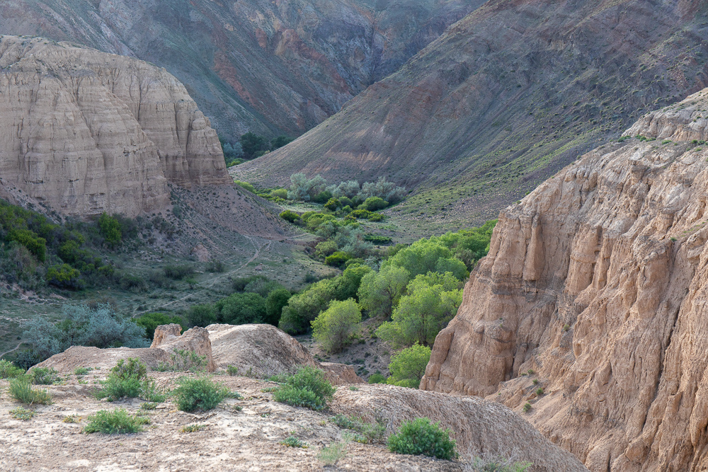 Красоты Тянь-Шаня. Из Казахстана в Кыргызстан и обратно. Две страны Центральной Азии. (22/45)