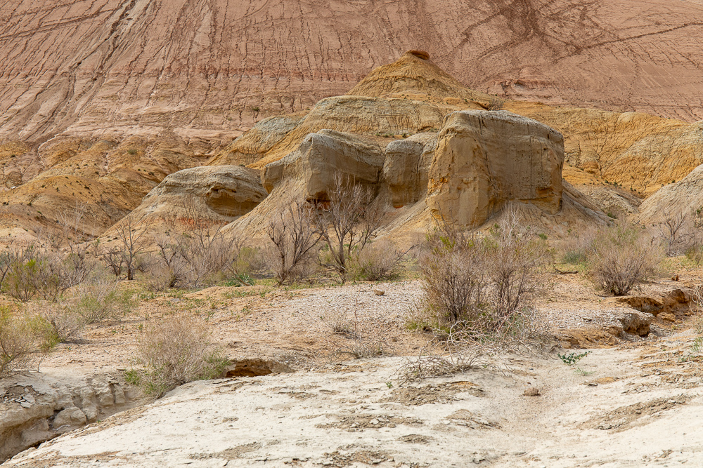 Золотое кольцо Семиречья (9/53)