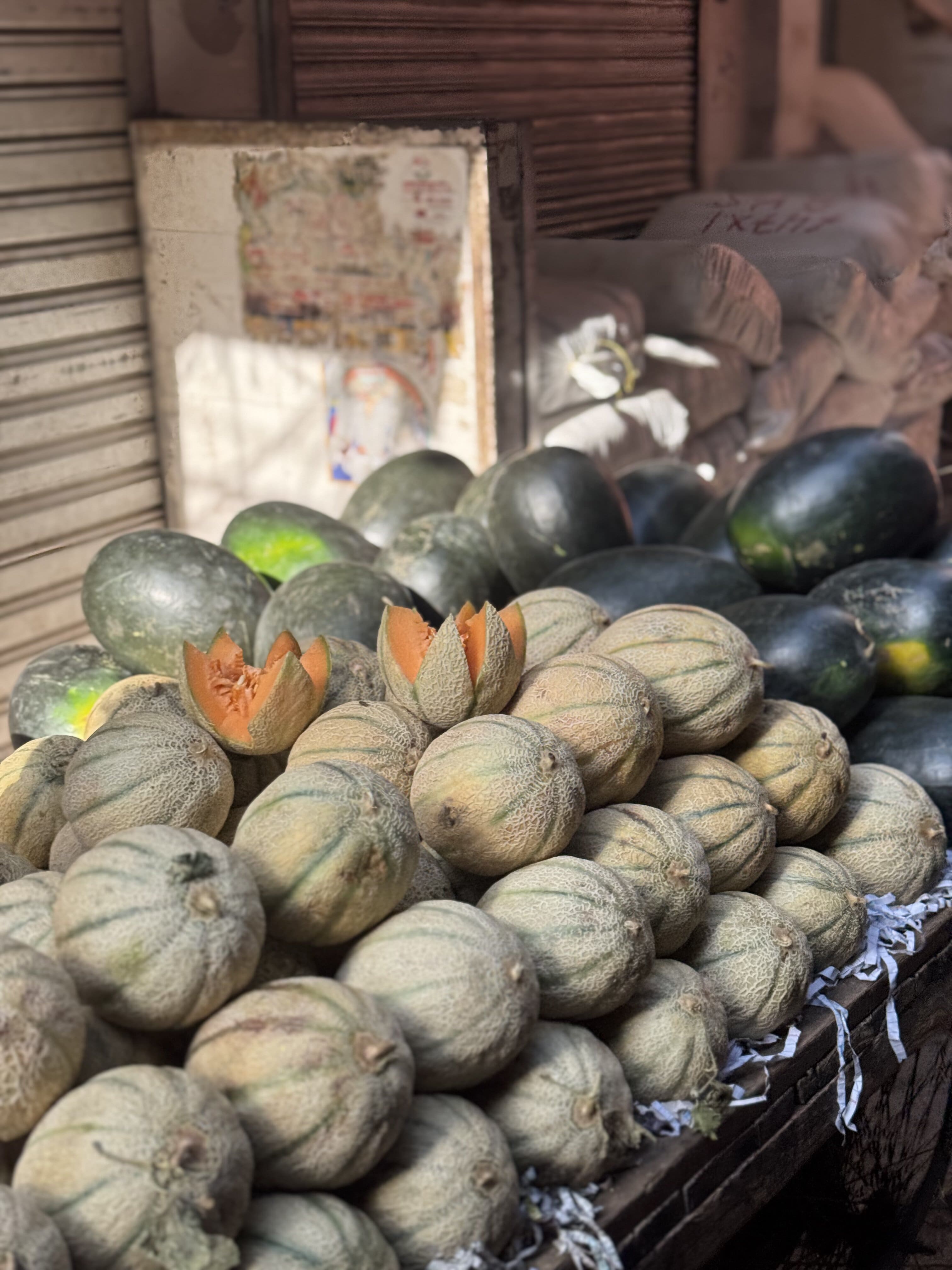 Священная Индия: Золотой Треугольник, Варанаси и Мумбай (5/27)