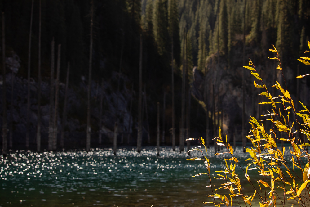 Красоты Тянь-Шаня. Из Казахстана в Кыргызстан и обратно. Две страны Центральной Азии. (27/45)