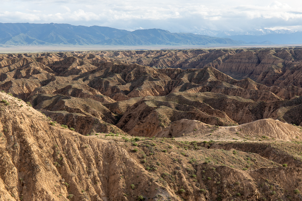 Красоты Тянь-Шаня. Из Казахстана в Кыргызстан и обратно. Две страны Центральной Азии. (19/45)
