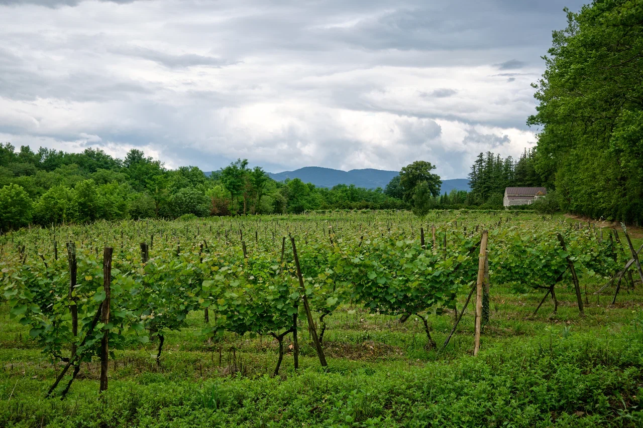 Из глубинки в курортный Цхалтубо
