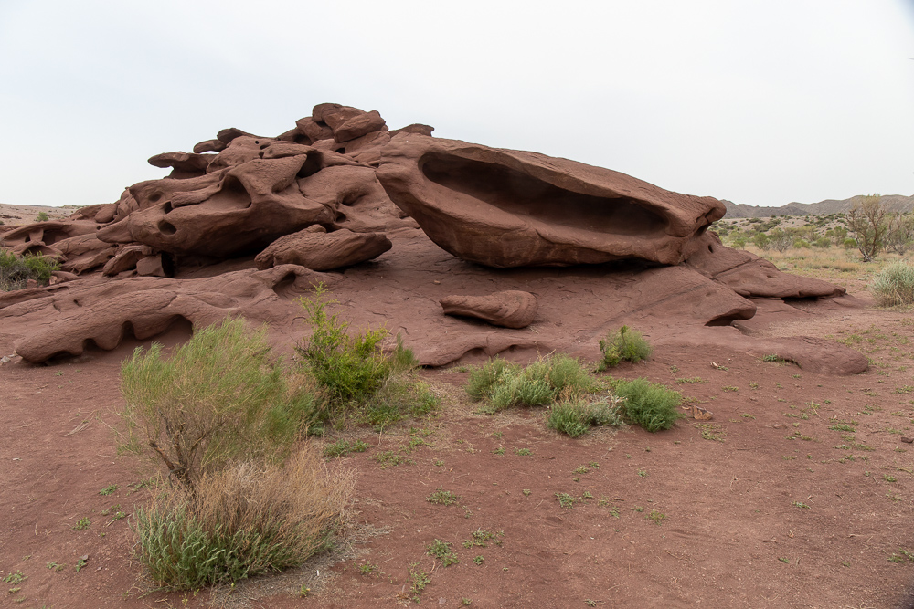 Золотое кольцо Семиречья (12/53)