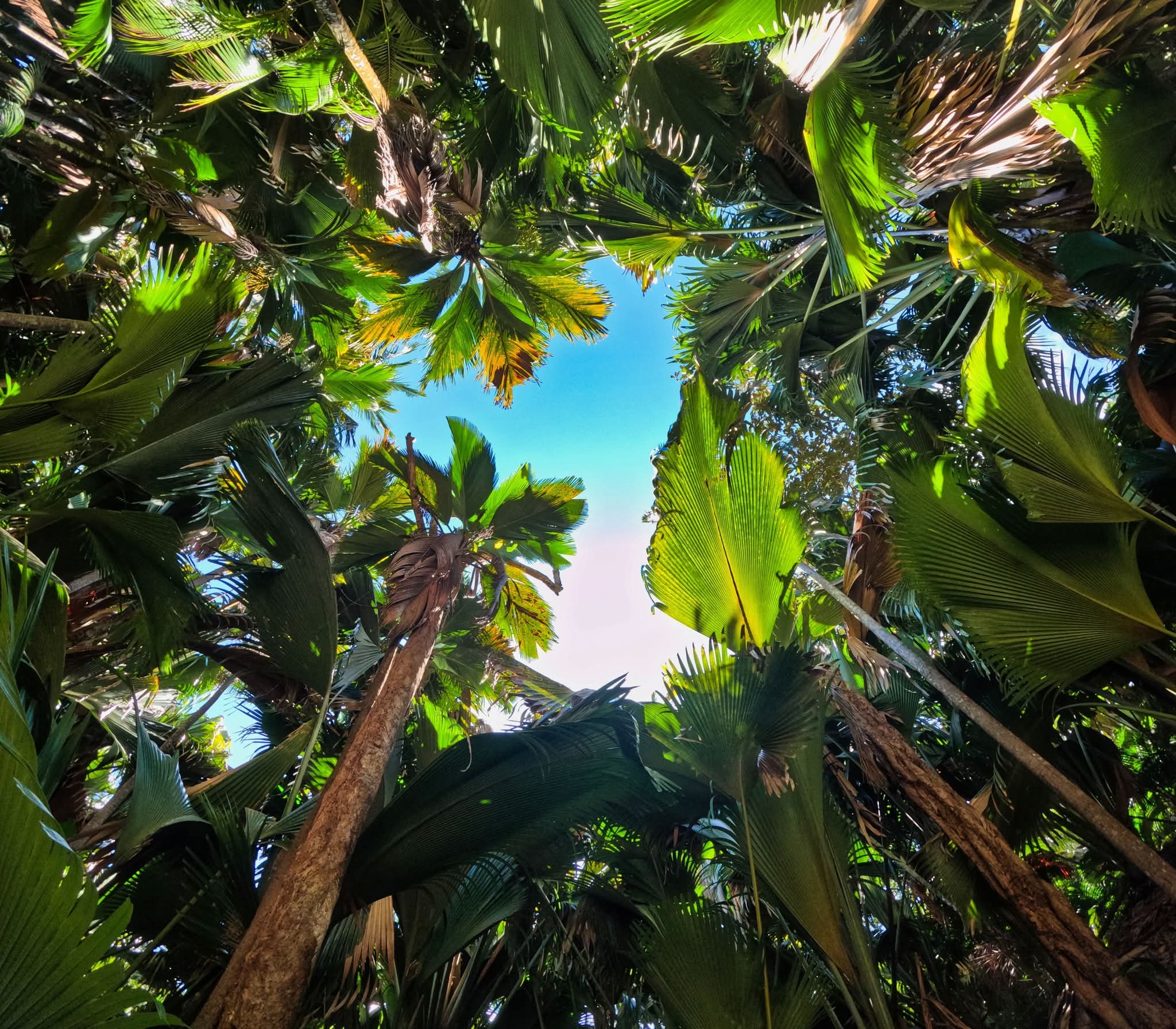 Сейшелы - приключение по островам (2/16)