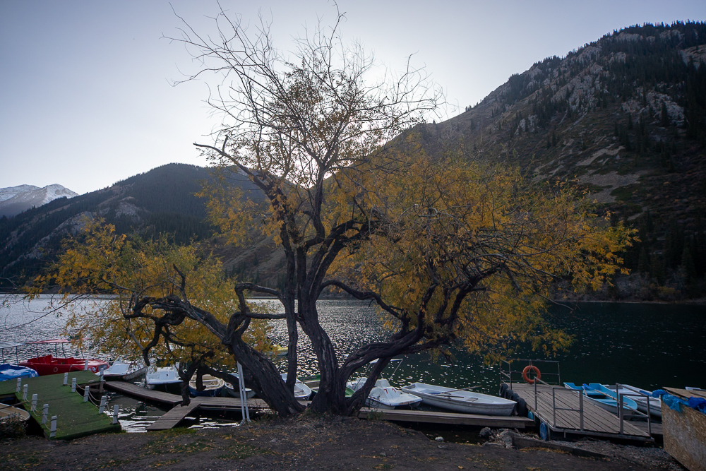 Красоты Тянь-Шаня. Из Казахстана в Кыргызстан и обратно. Две страны Центральной Азии. (29/45)