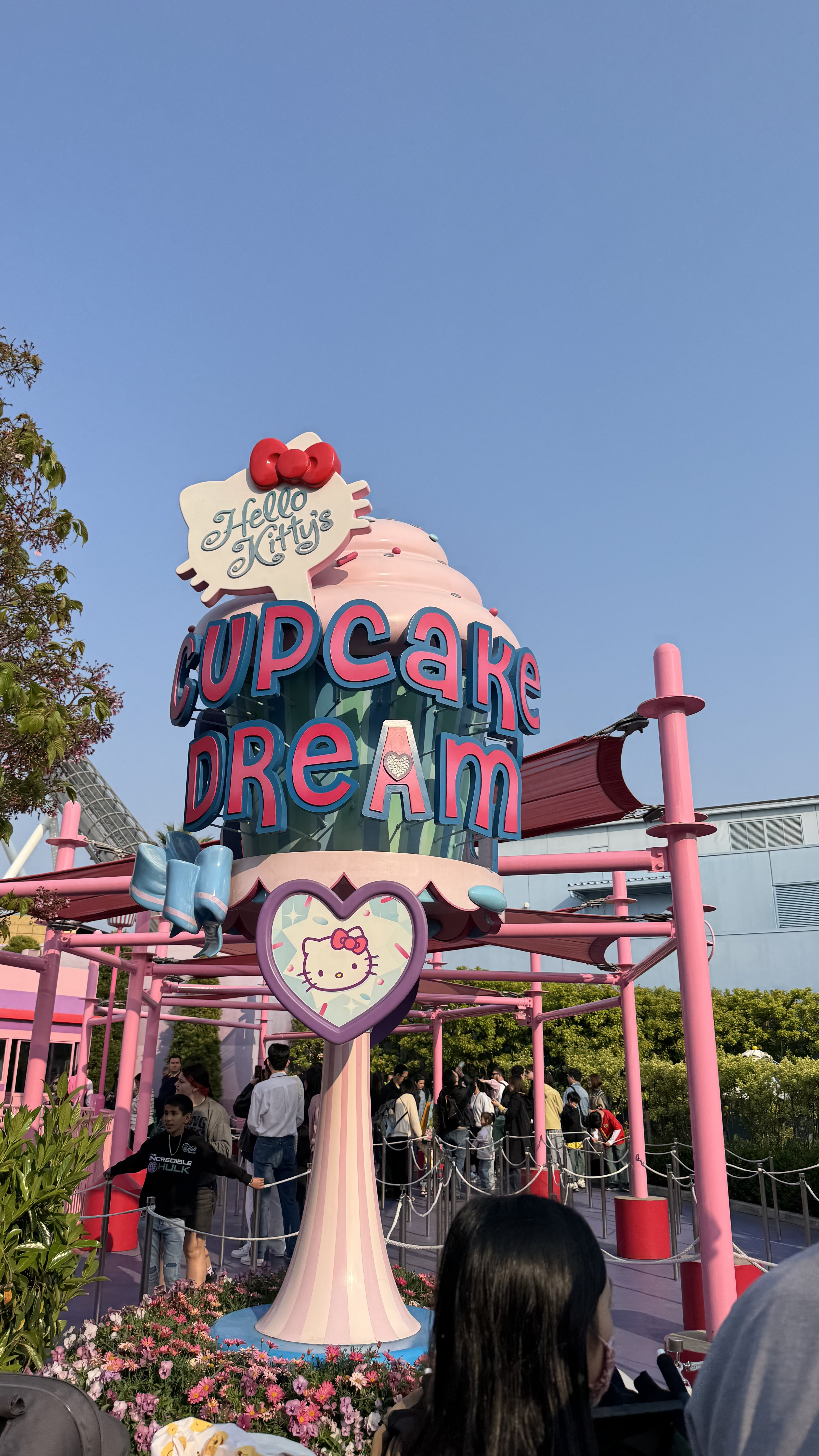 Японский тур от Universal studio до Фудзи и древних храмов. С гидом из Мир наизнанку (34/54)