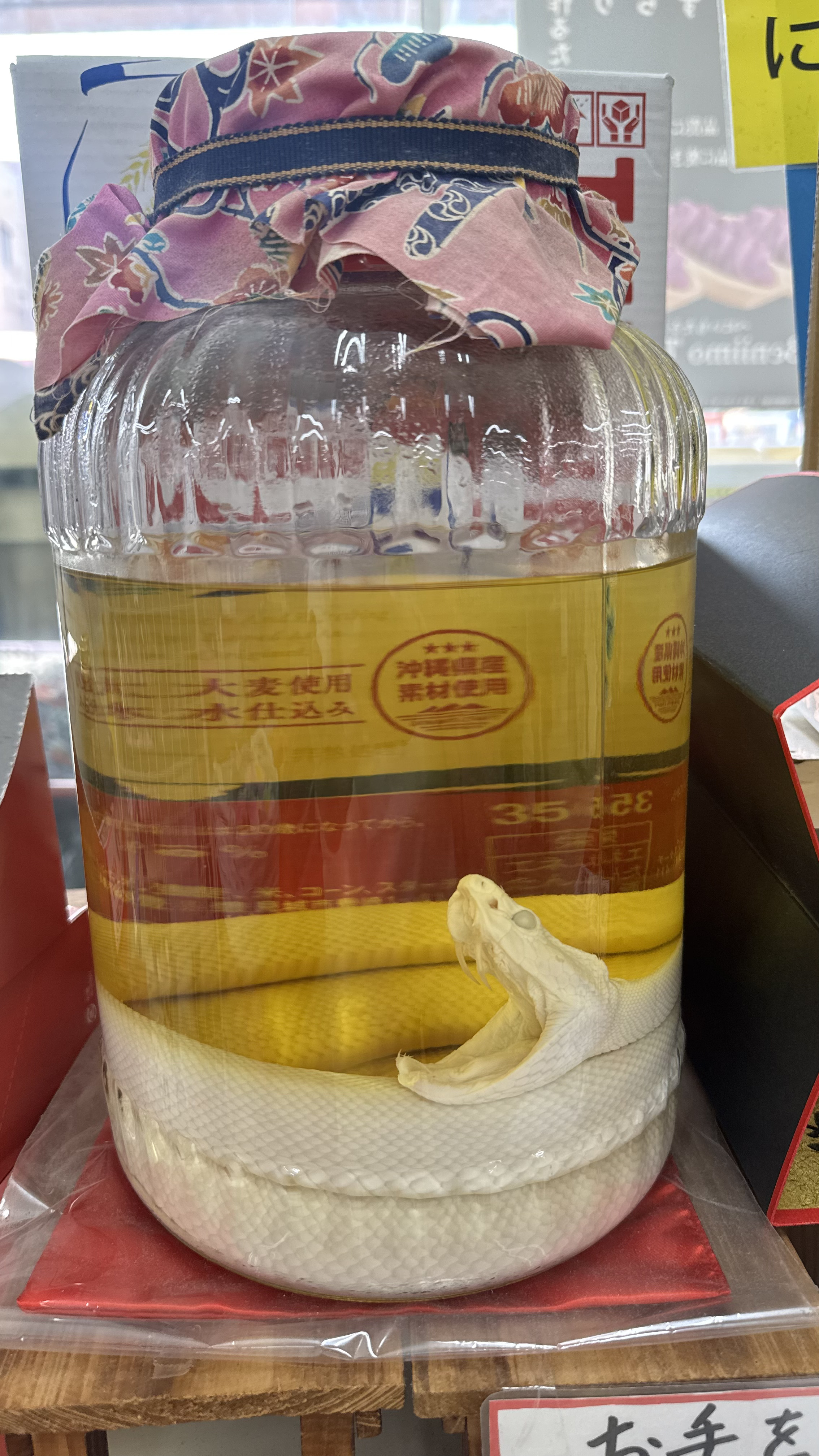 Окинава - Японские Гавайи! Тур на 2 острова в Тихом океане (26/56)