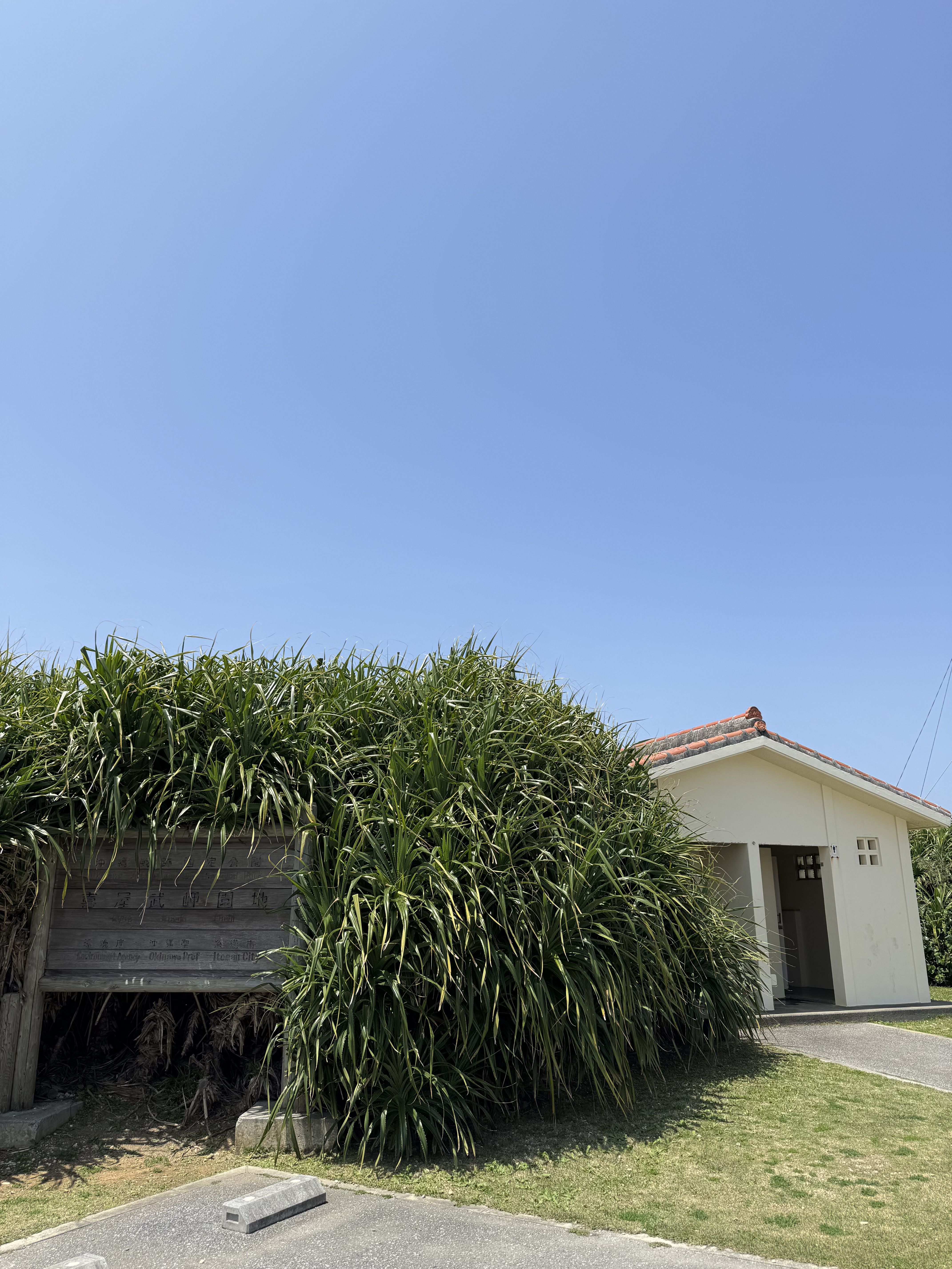 Окинава - Японские Гавайи! Тур на 2 острова в Тихом океане (20/56)