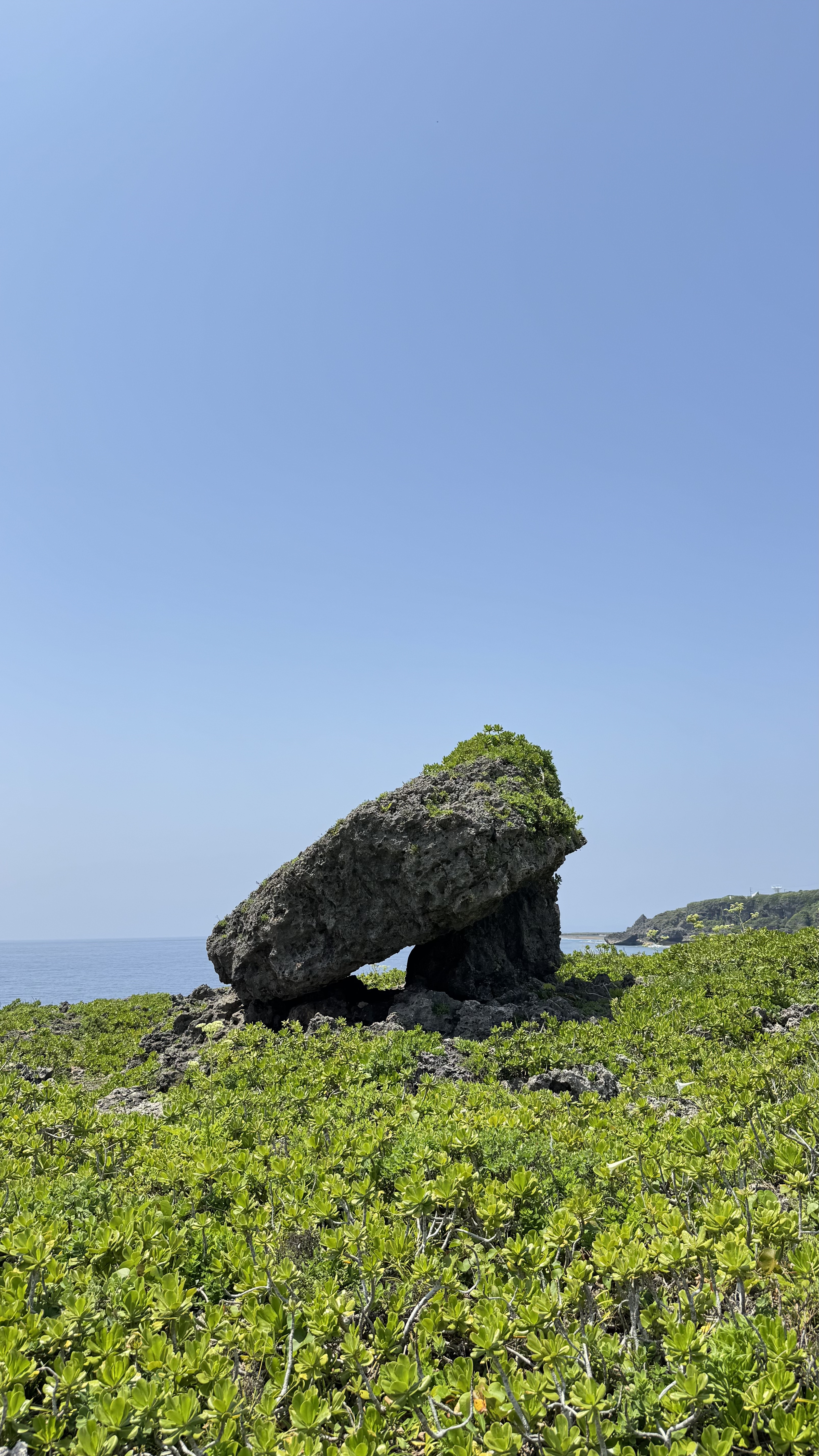 Окинава - Японские Гавайи! Тур на 2 острова в Тихом океане (27/56)