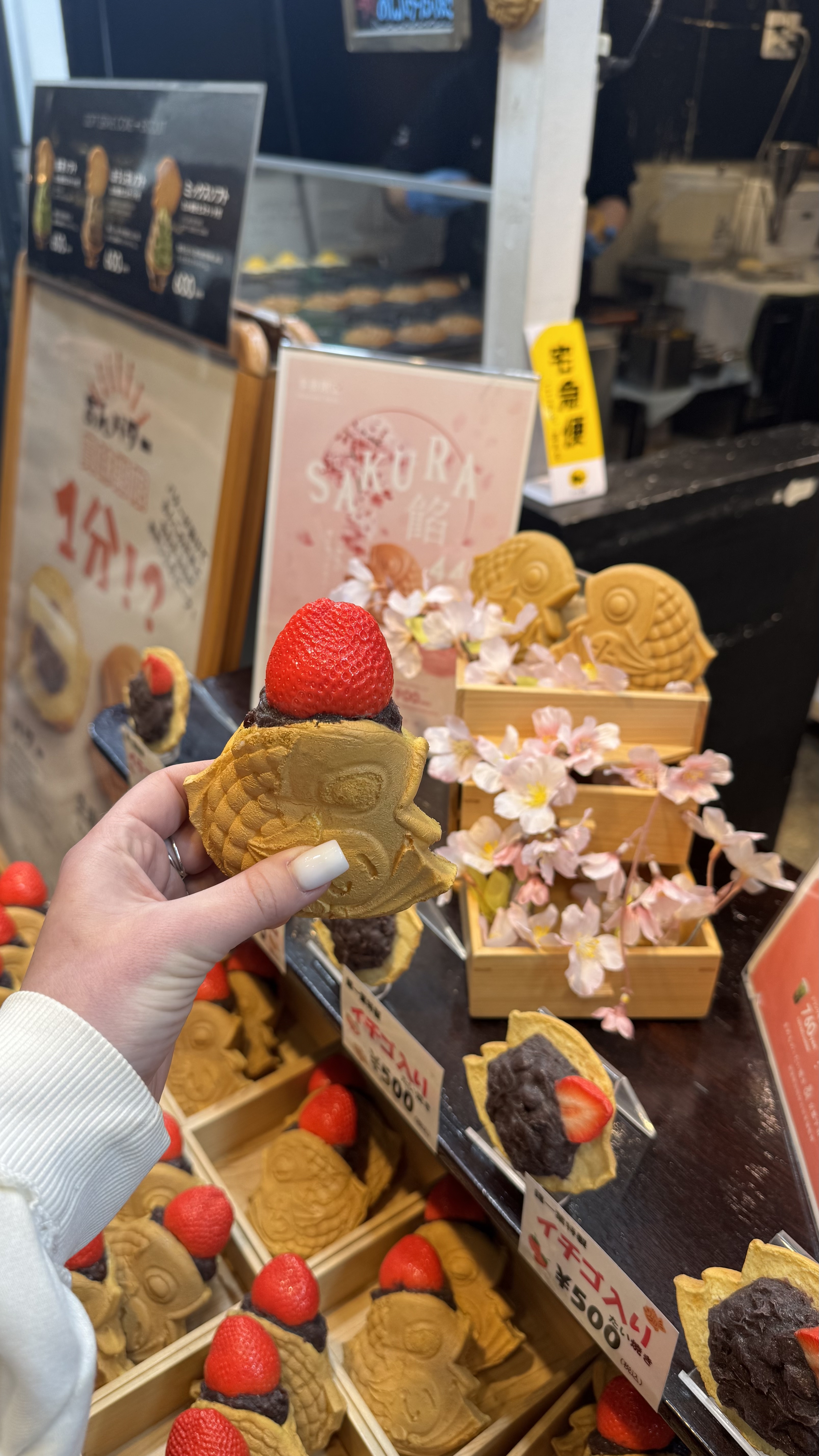 Окинава - Японские Гавайи! Тур на 2 острова в Тихом океане (3/56)