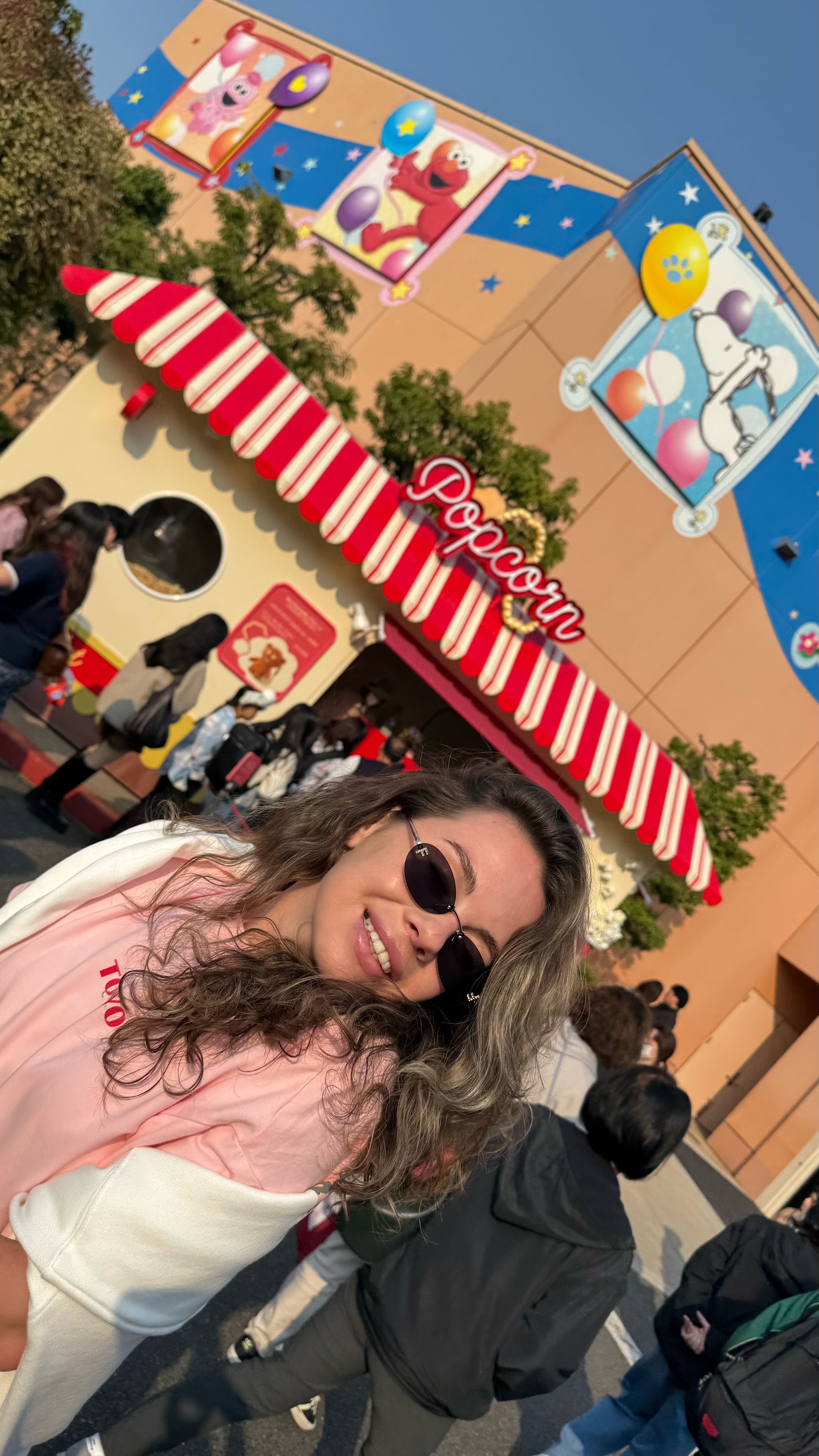 Японский тур от Universal studio до Фудзи и древних храмов. С гидом из Мир наизнанку (31/54)