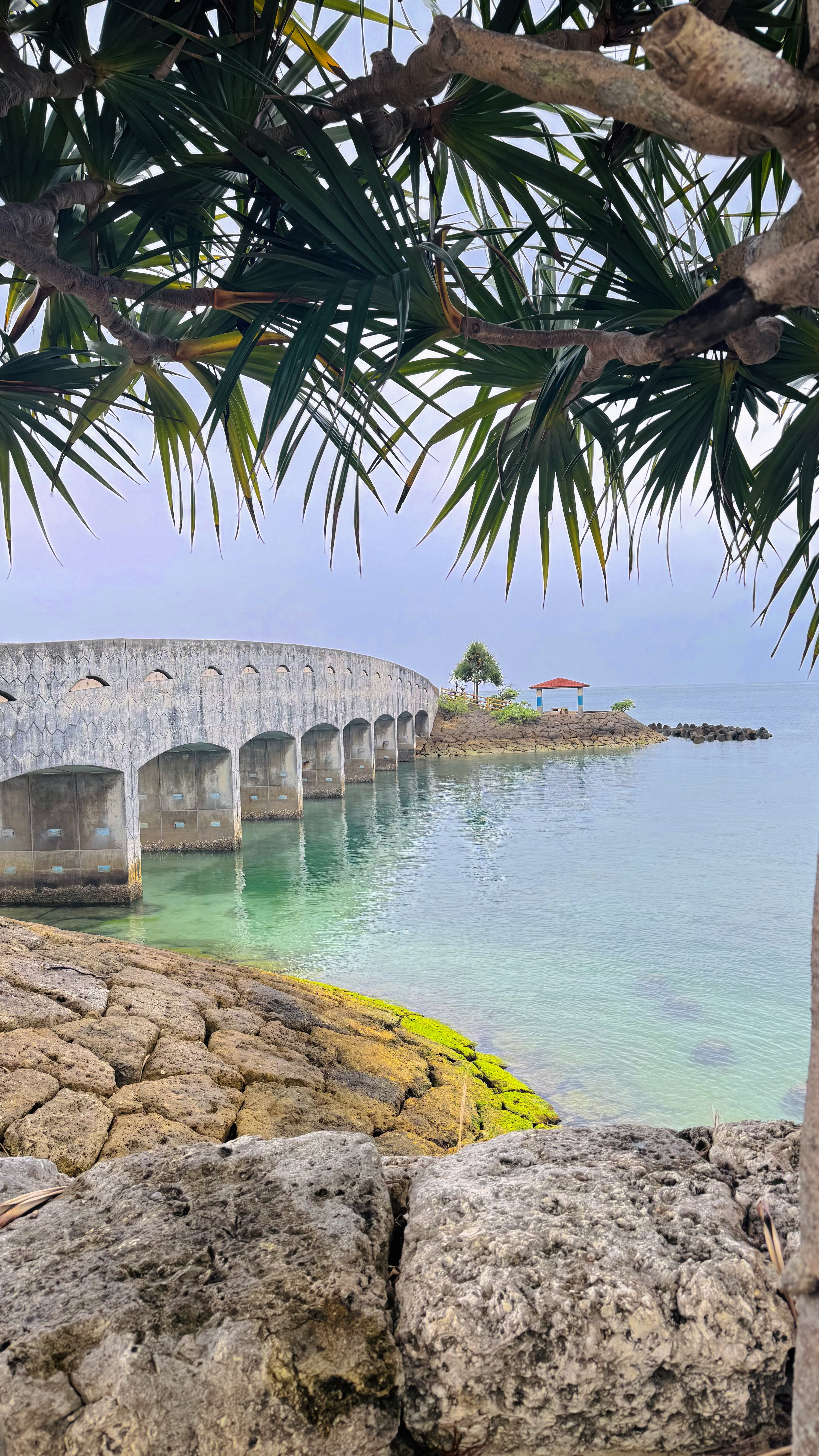 Окинава - Японские Гавайи! Тур на 2 острова в Тихом океане (9/56)