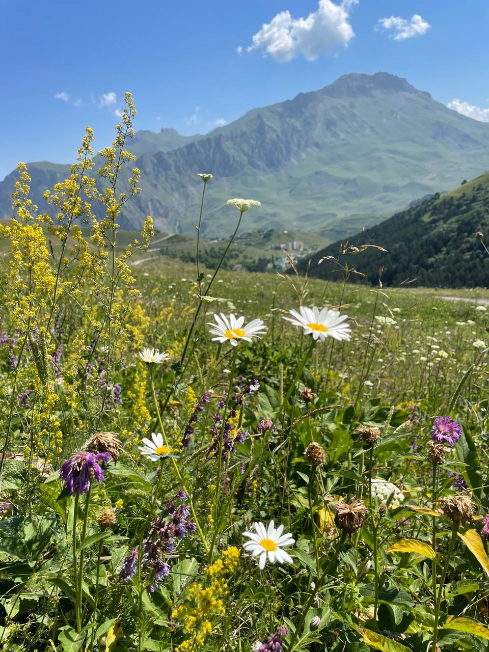 Из Краснодара в Северную Осетию (13/19)