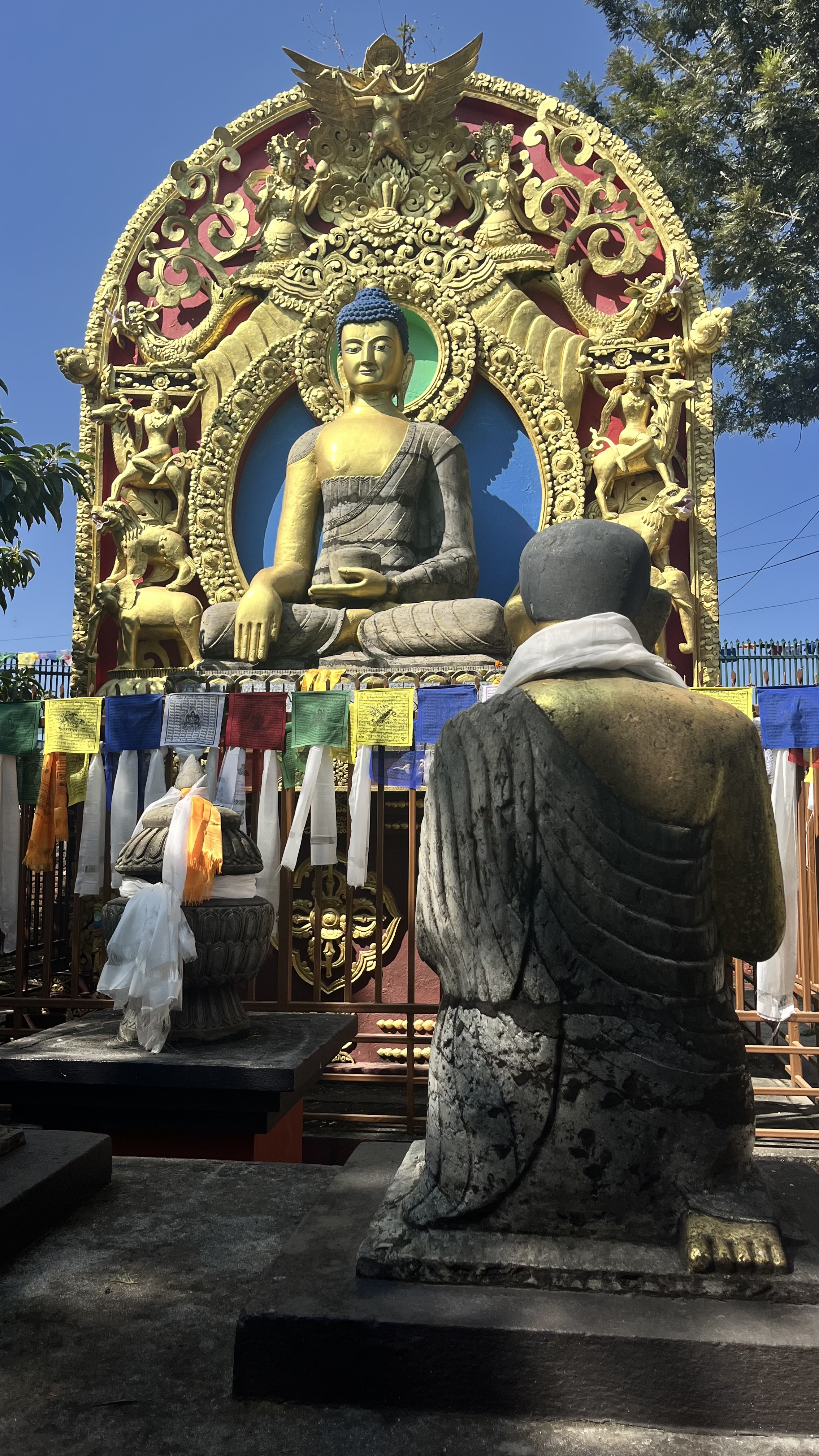 Непал за 7 дней: места силы, рассветы и древние города (2/11)