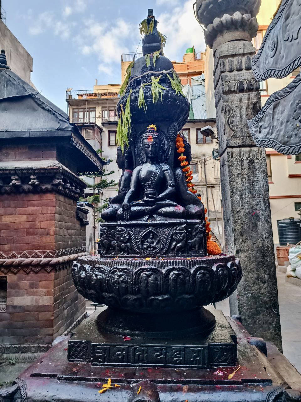 Цветок Непала (39/76)