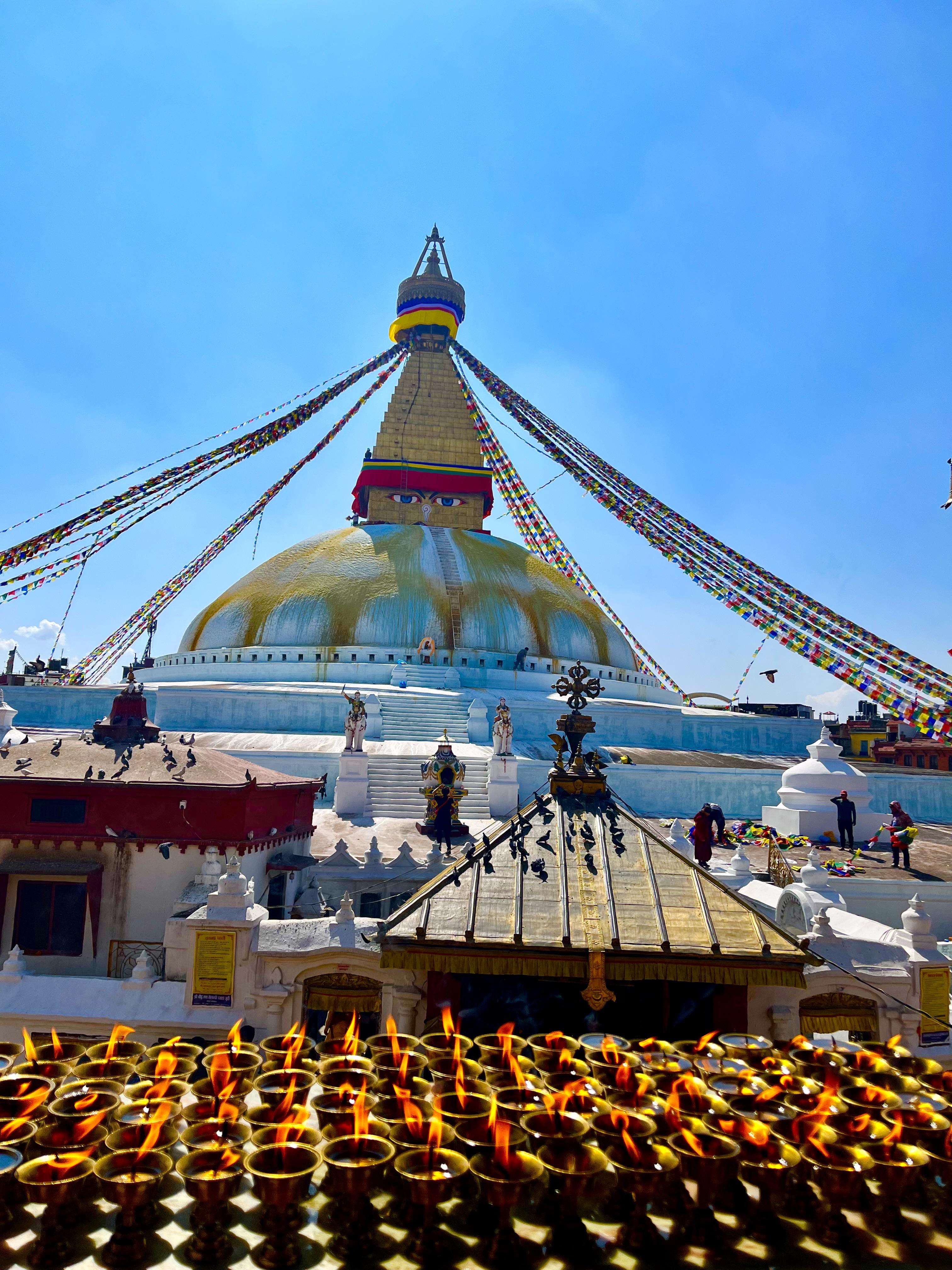 Цветок Непала (40/76)