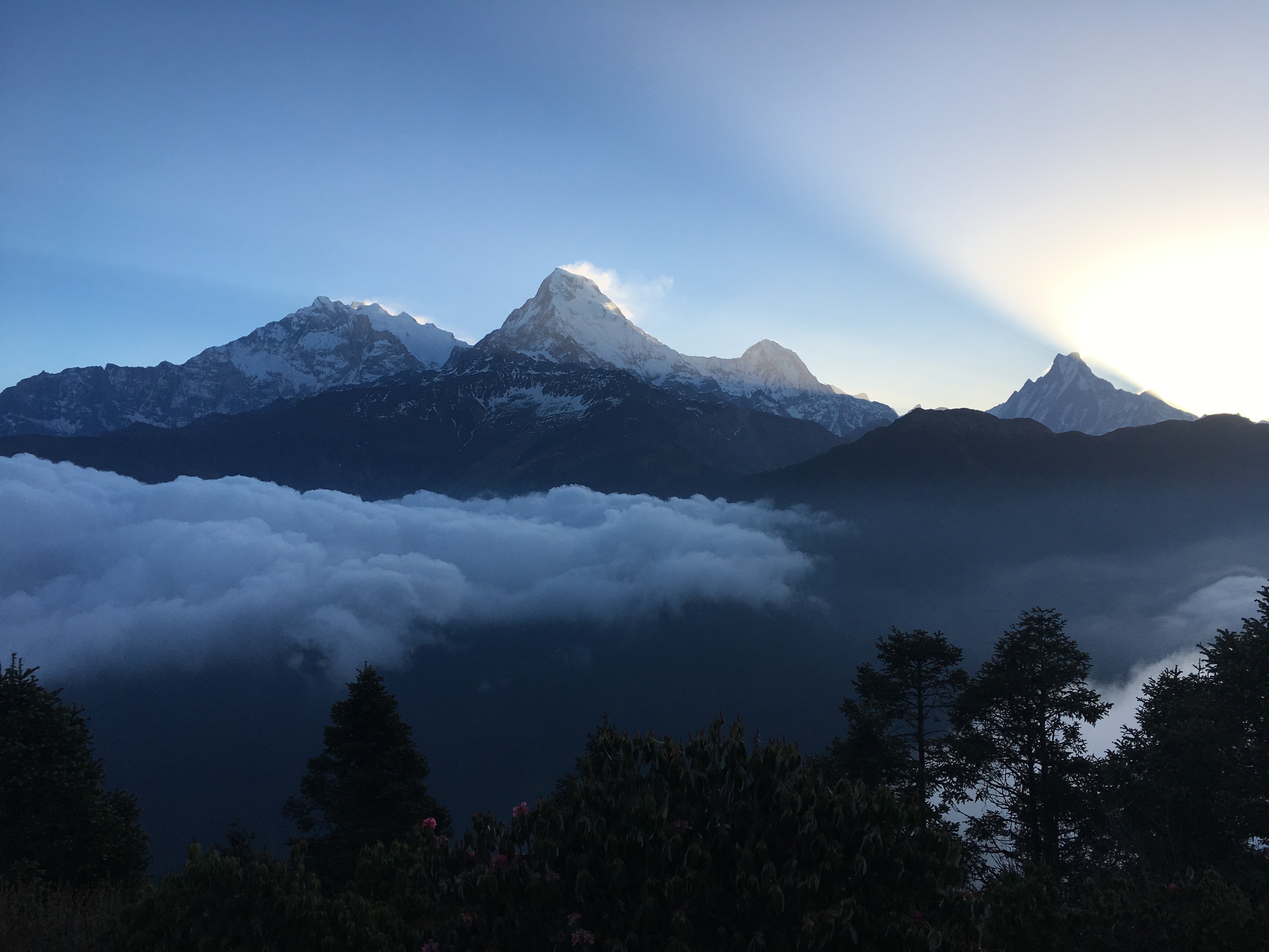 Цветок Непала (28/76)