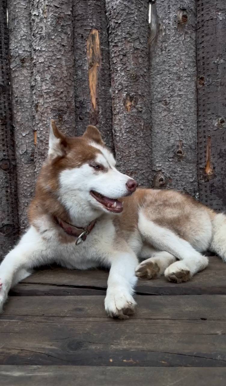 Сила Природы и Спа: открой для себя Карелию за выходные (5/19)