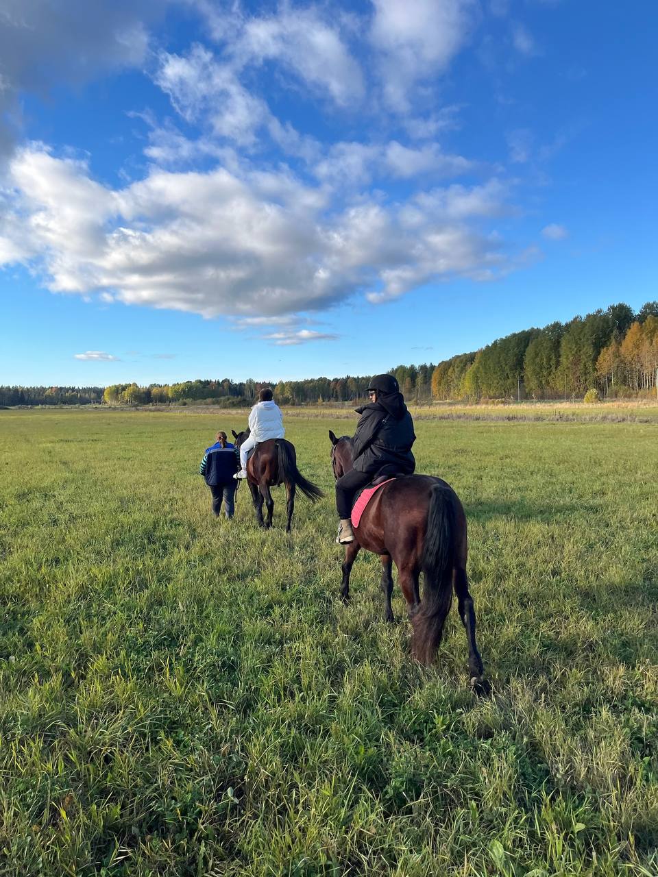 Сила Природы и Спа: открой для себя Карелию за выходные (6/19)