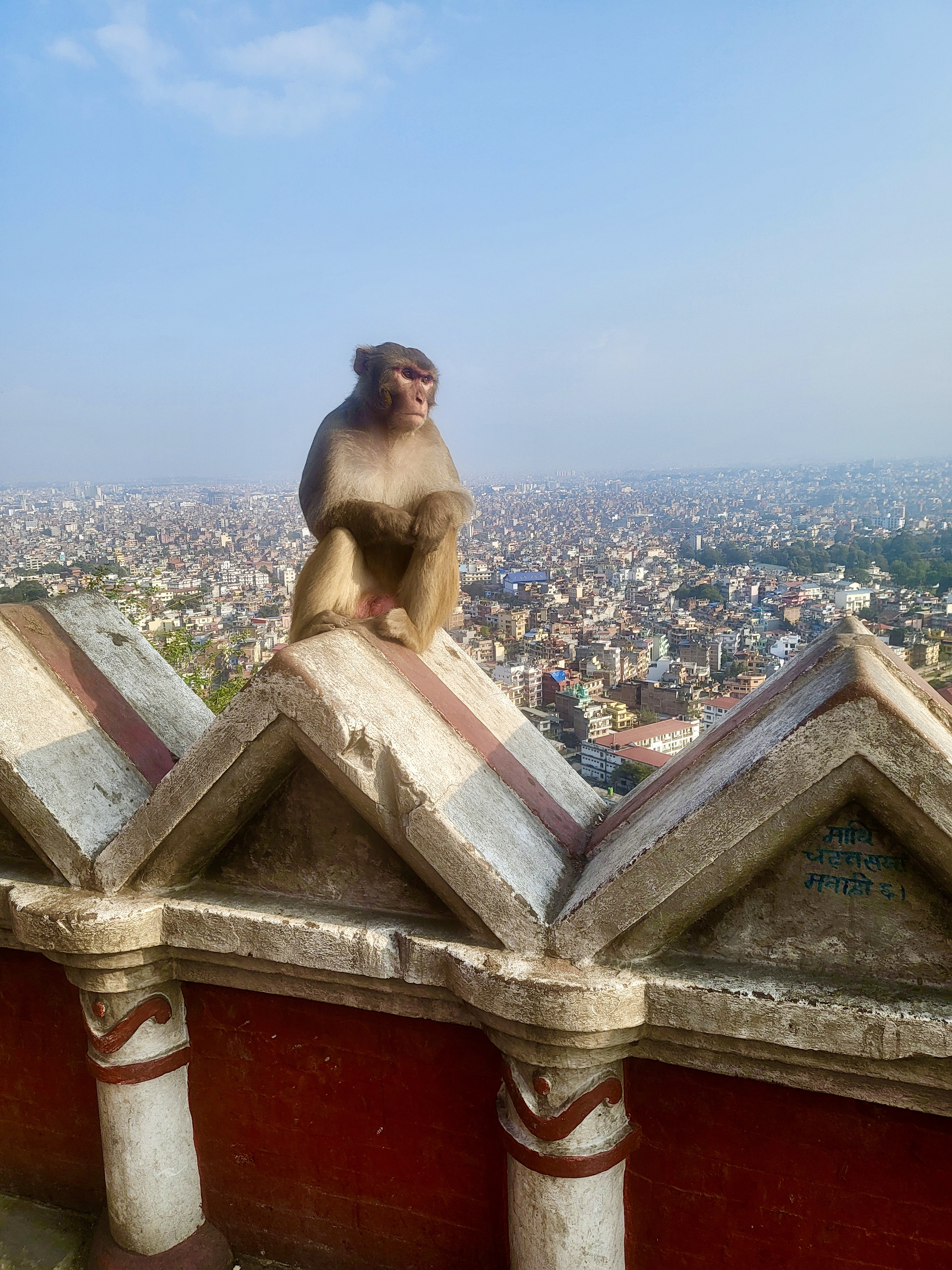 Цветок Непала (48/76)