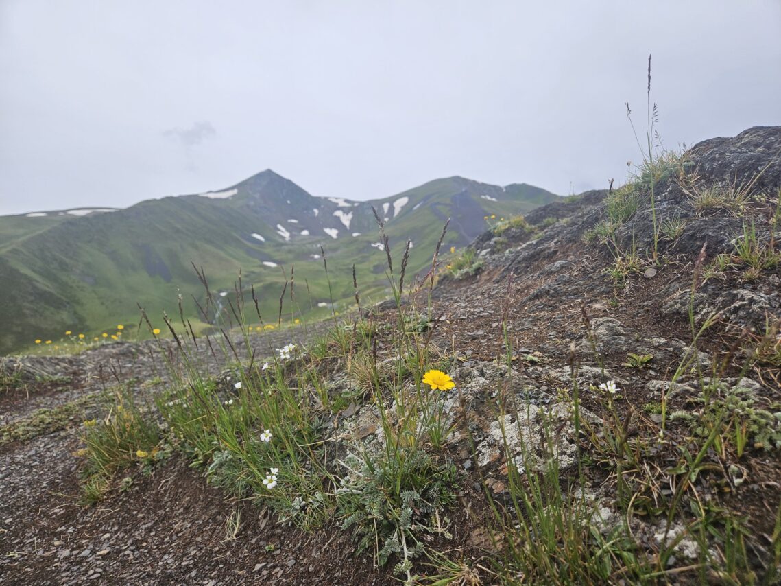 Трип по Карачаево-Черкесии! Домбай+Архыз с комфортом в мини-группе! (40/74)