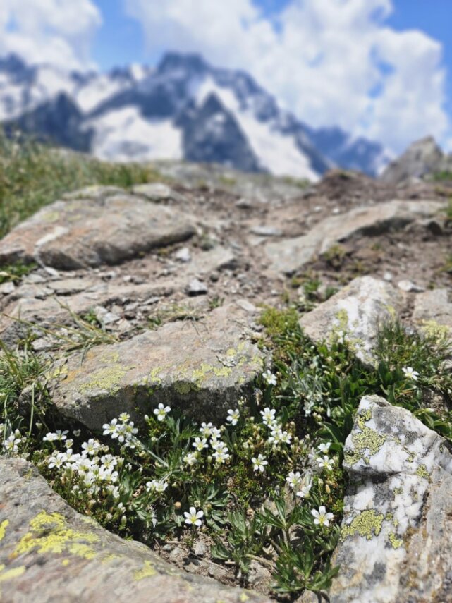 Трип по Карачаево-Черкесии! Домбай+Архыз с комфортом в мини-группе! (49/74)