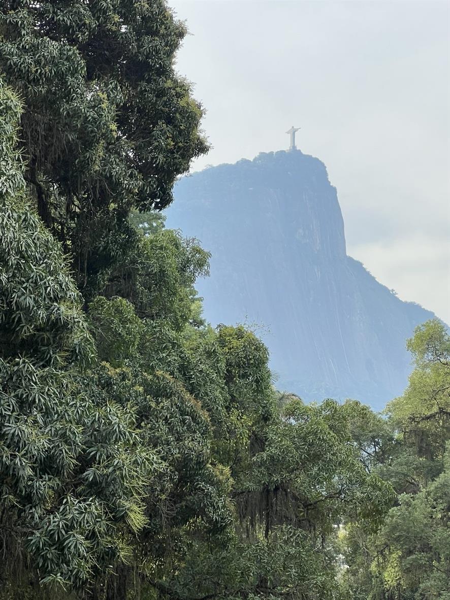 Карнавал в Рио + 3 полных дня Амазония + Водопады Игуасу (2/51)