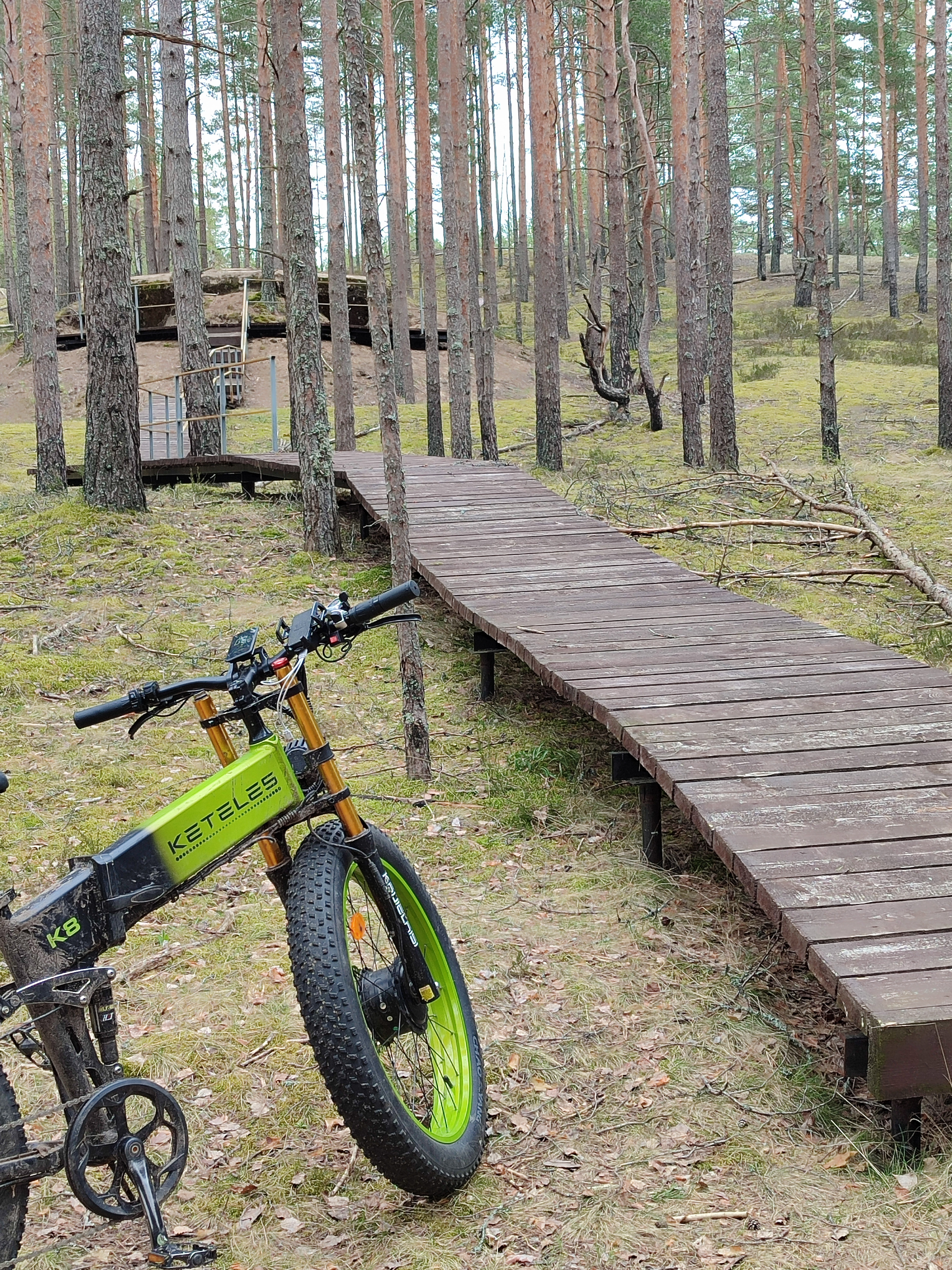 Тур выходного дня на электрофэтбайках в Кургальском заказнике