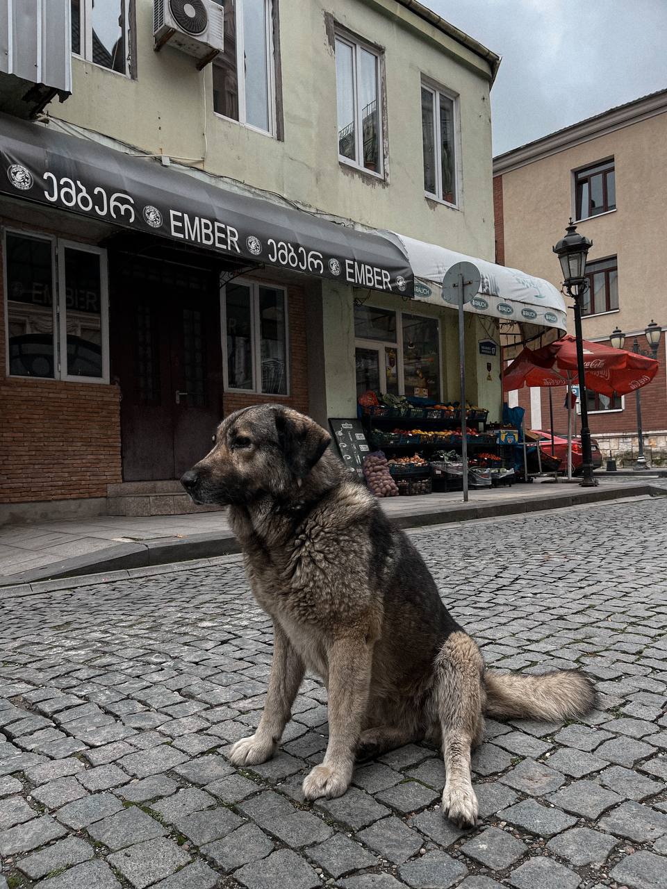 Все краски Батуми  незабываемая неделя в Батуми с Тор локациями (16/30)