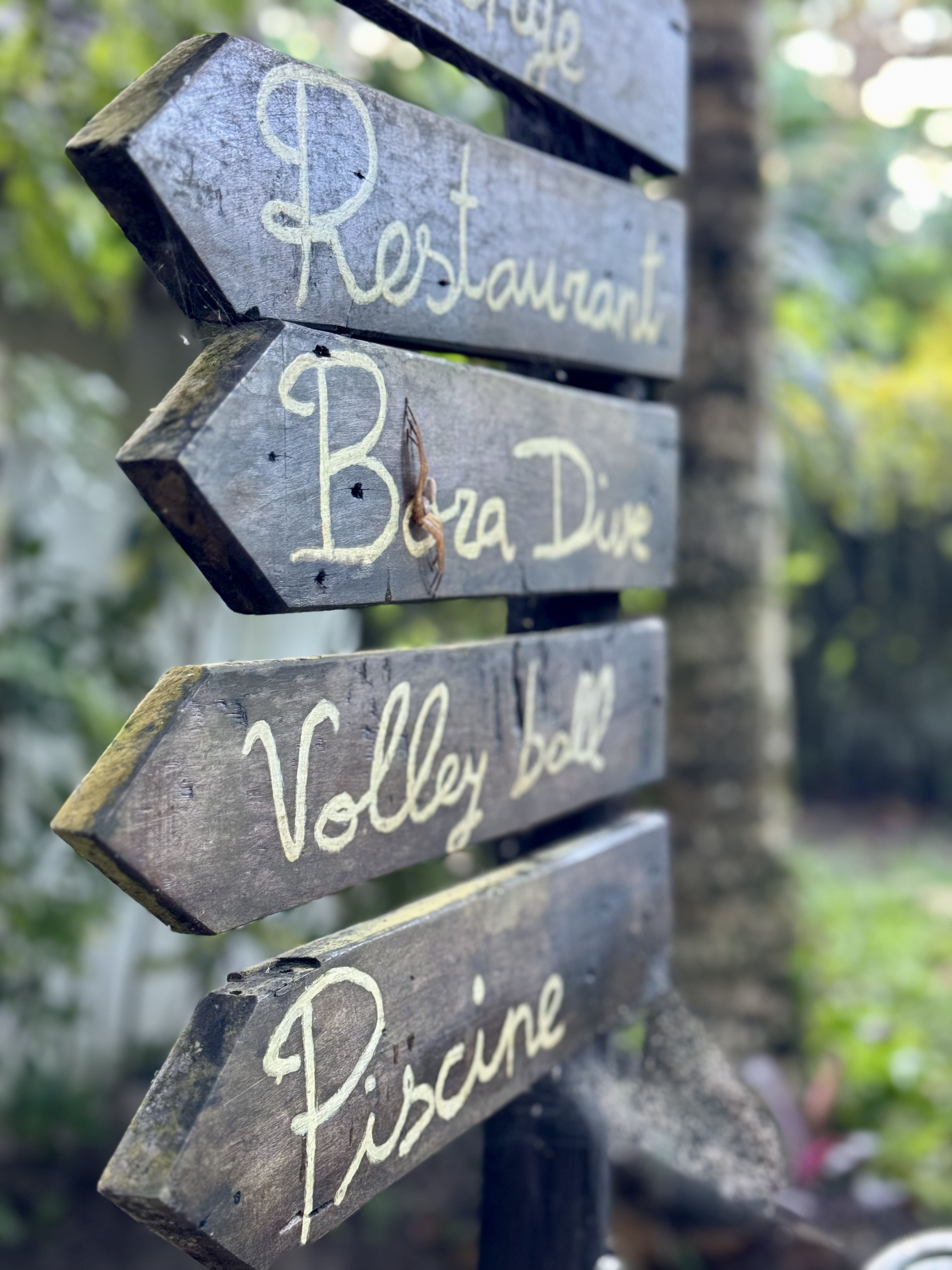 Сент-Мари: райский остров китов и пиратов (9/37)