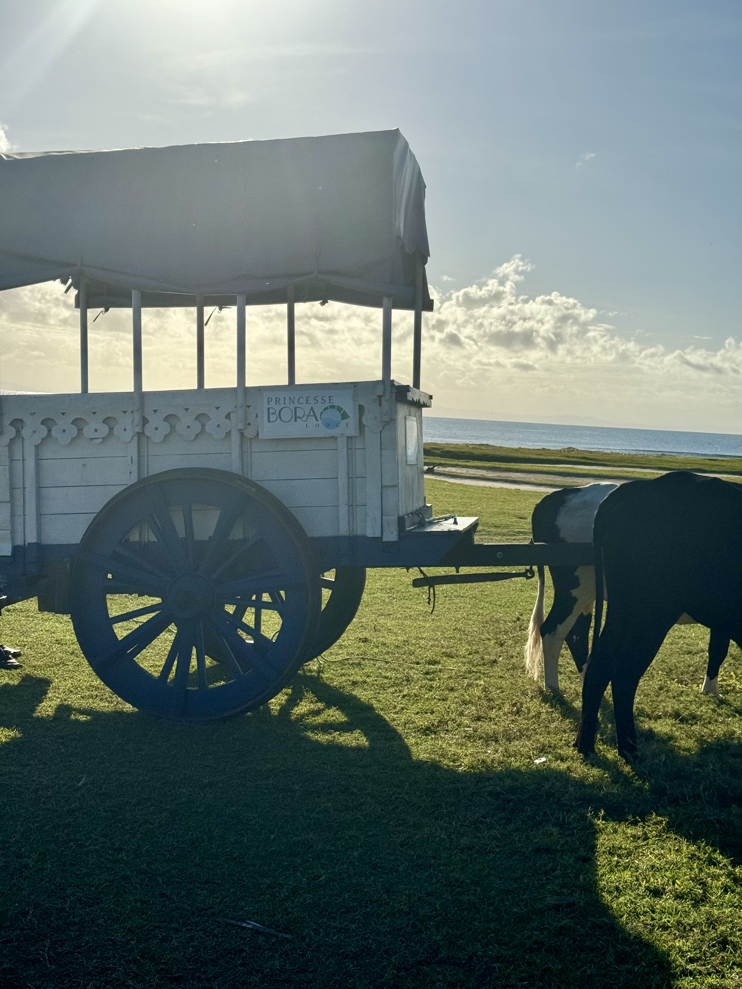 Сент-Мари: райский остров китов и пиратов (12/37)