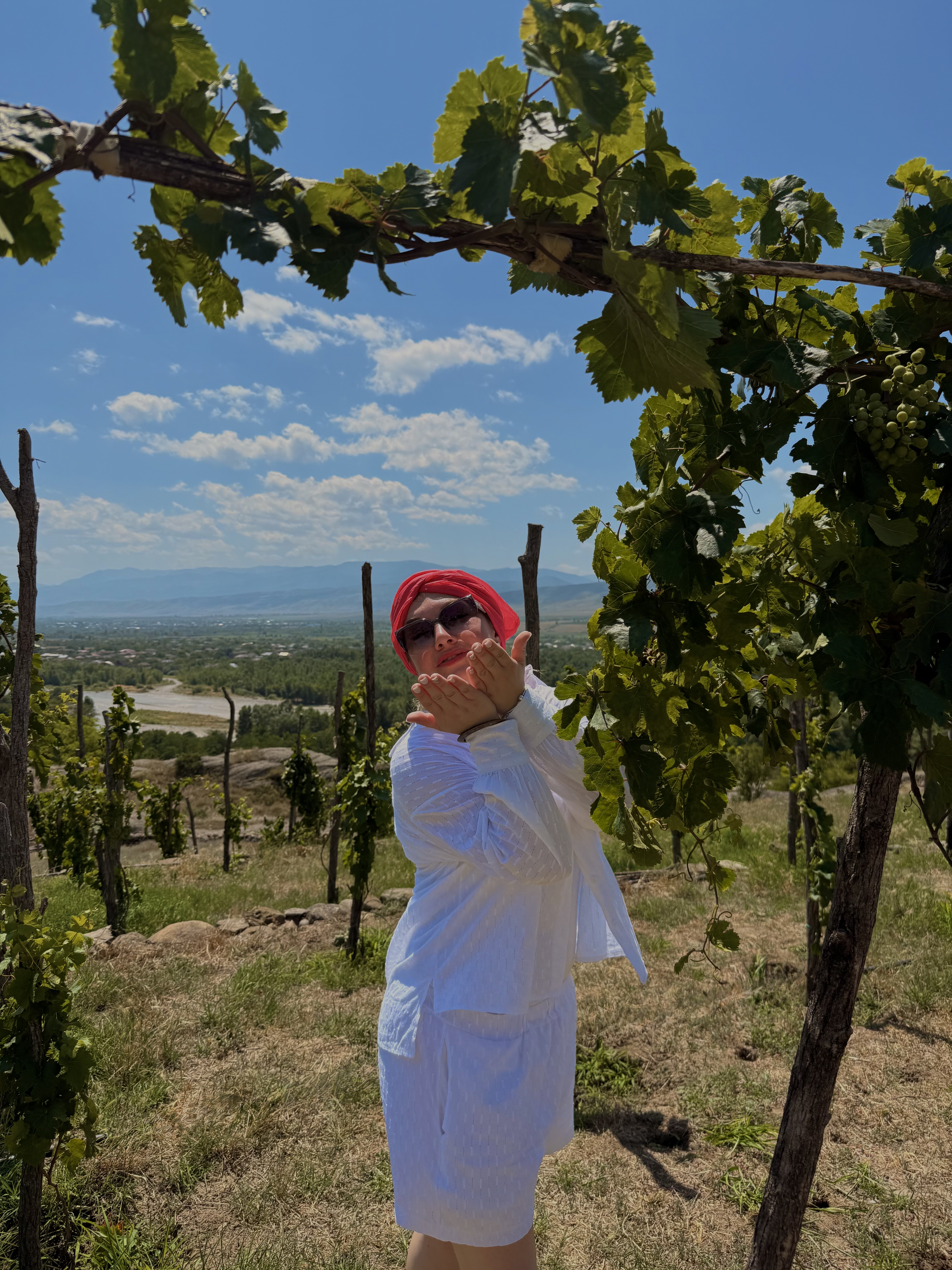 Большое путешествие по Грузии : Тбилиси,Батуми,горы,каньоны,море в мини-группе (23/35)