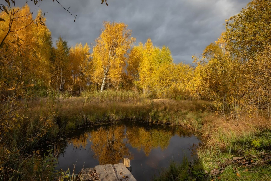 Кострома и Плёс: обратная сторона Золотого Кольца (7/23)