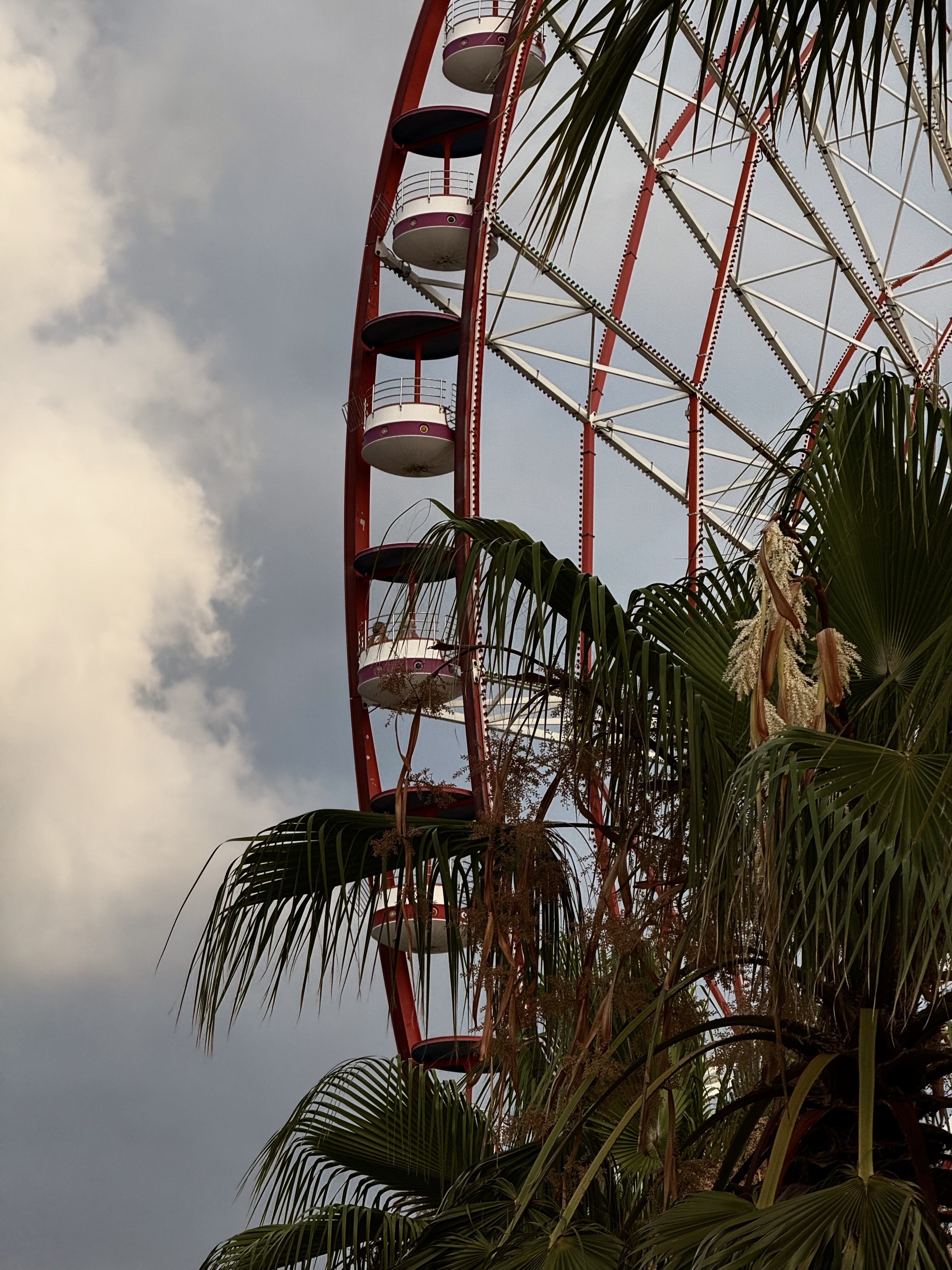 Большое путешествие по Грузии : Тбилиси,Батуми,горы,каньоны,море в мини-группе (11/35)