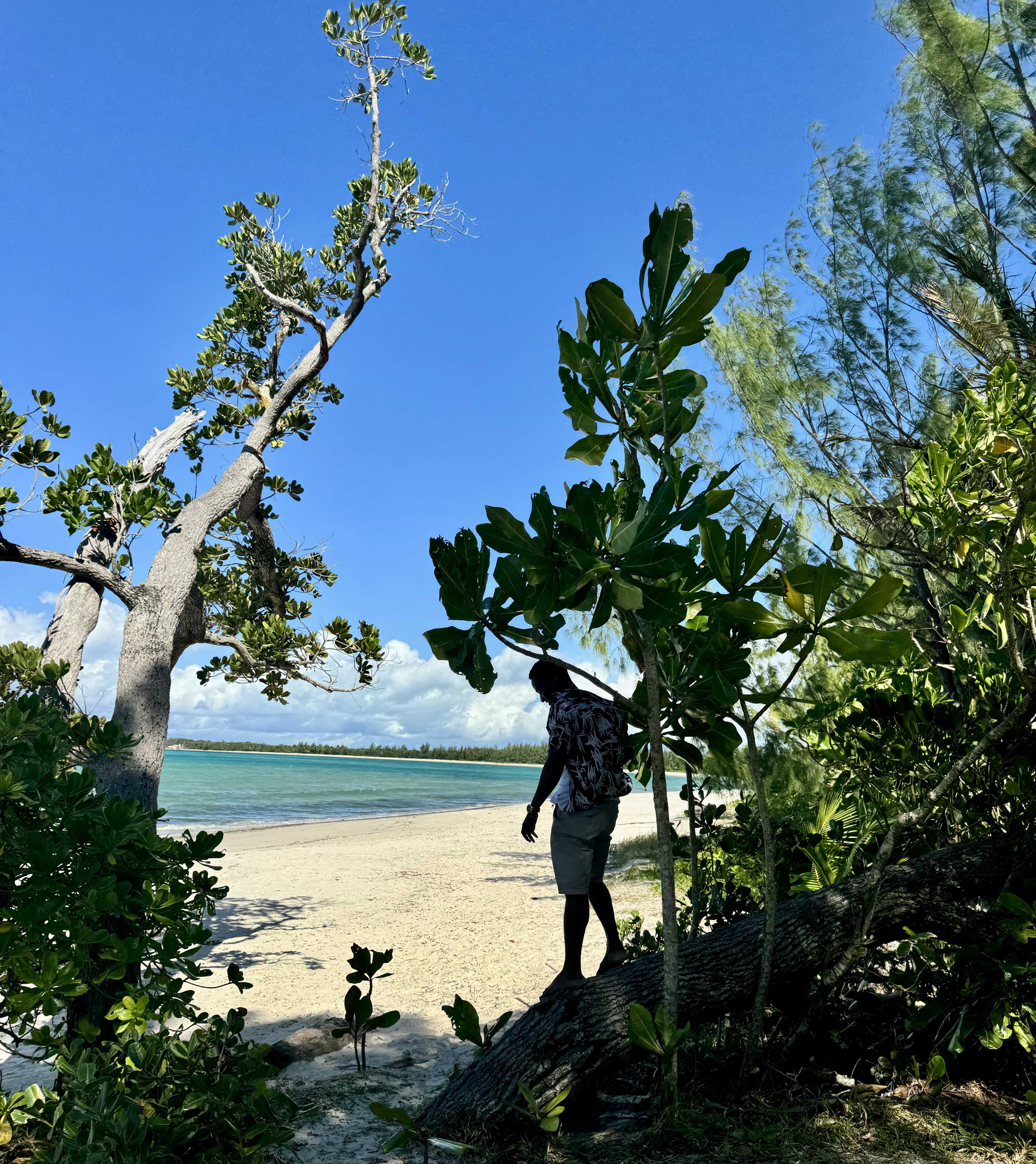 Сент-Мари: райский остров китов и пиратов (17/37)