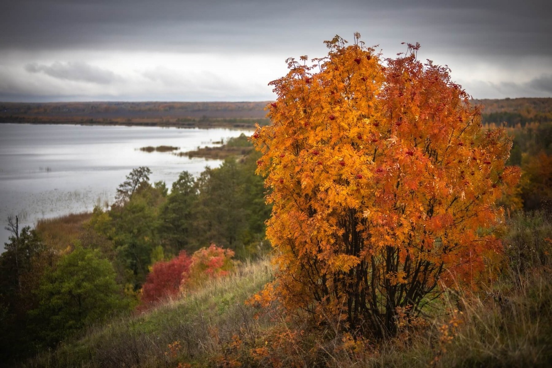 Кострома и Плёс: обратная сторона Золотого Кольца (4/23)