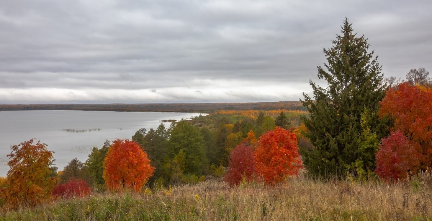 Кострома и Плёс: обратная сторона Золотого Кольца (12/23)