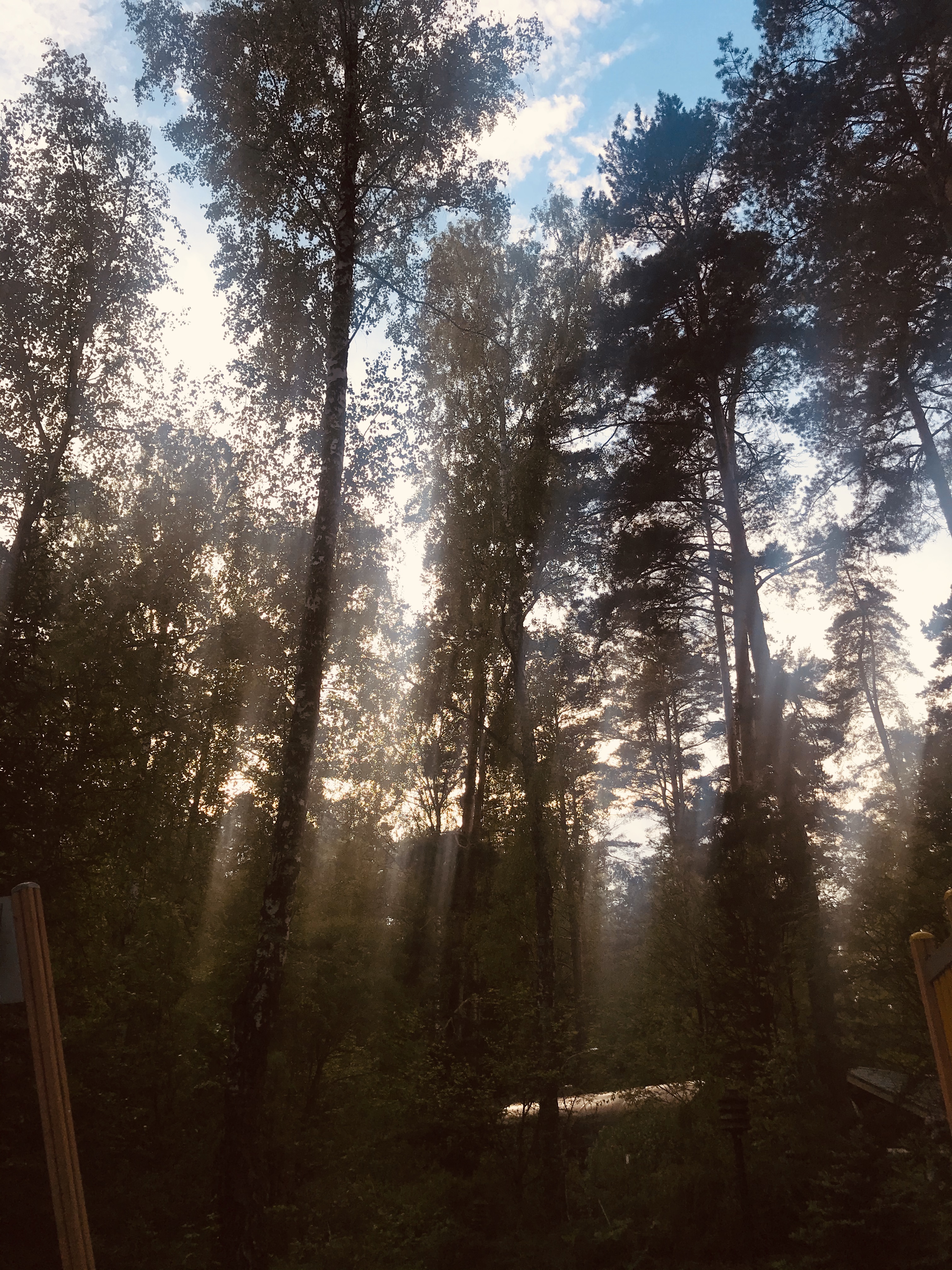 Женщина, которая выбирает себя. Истра