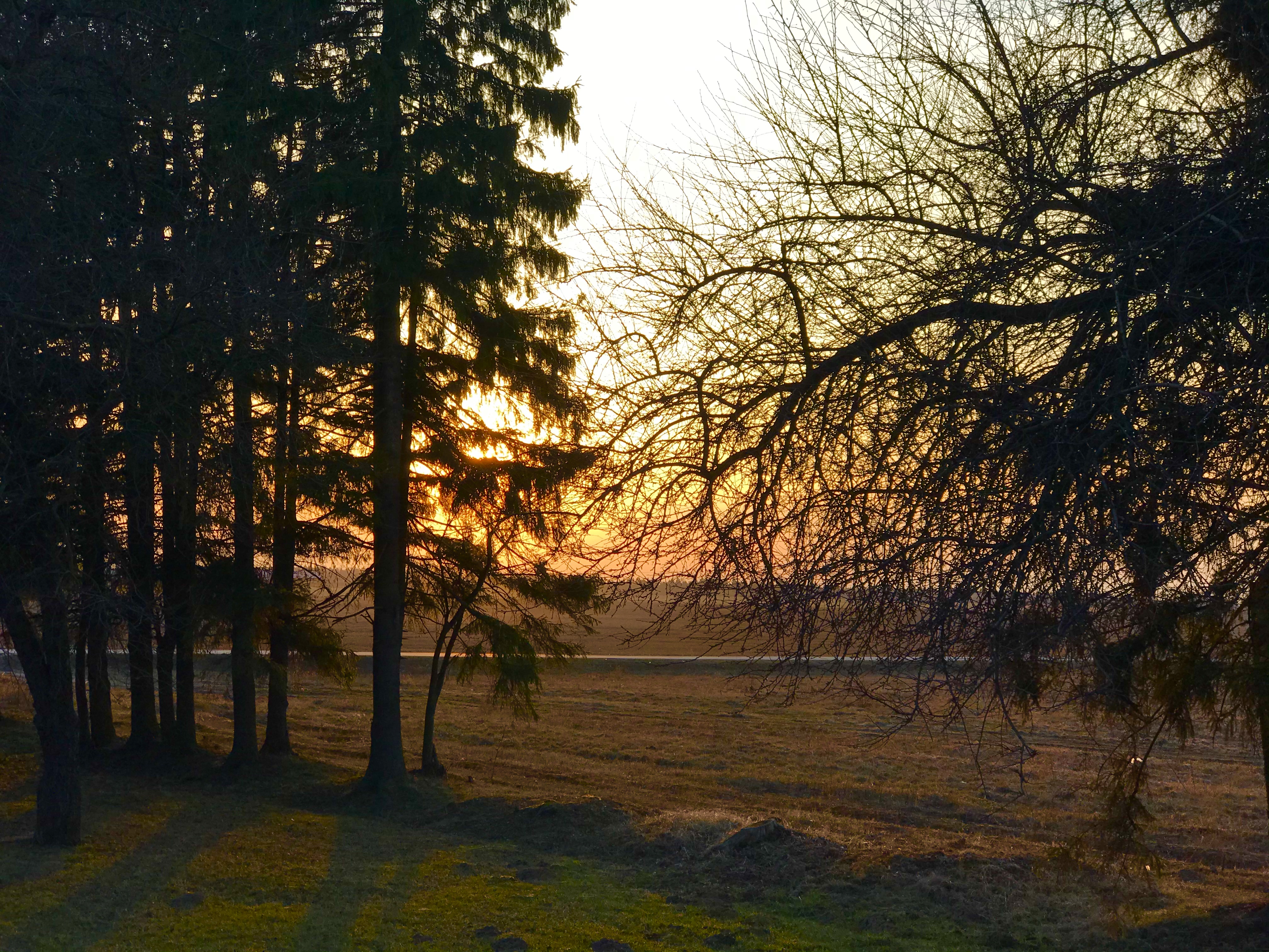 Женщина, которая выбирает себя. Истра