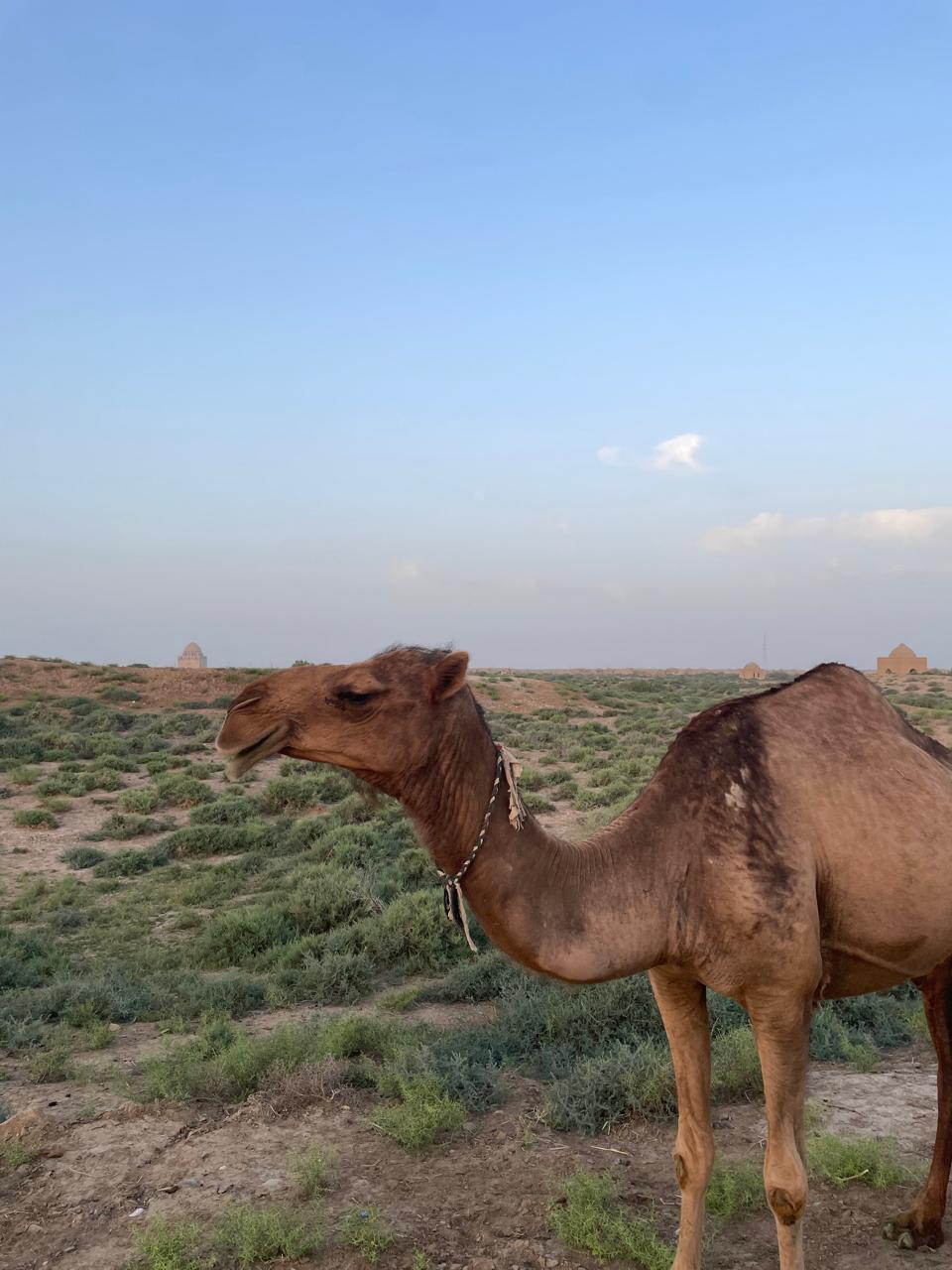Туркменистан за 5 дней: Тени Великого Шёлкового Пути (2/27)